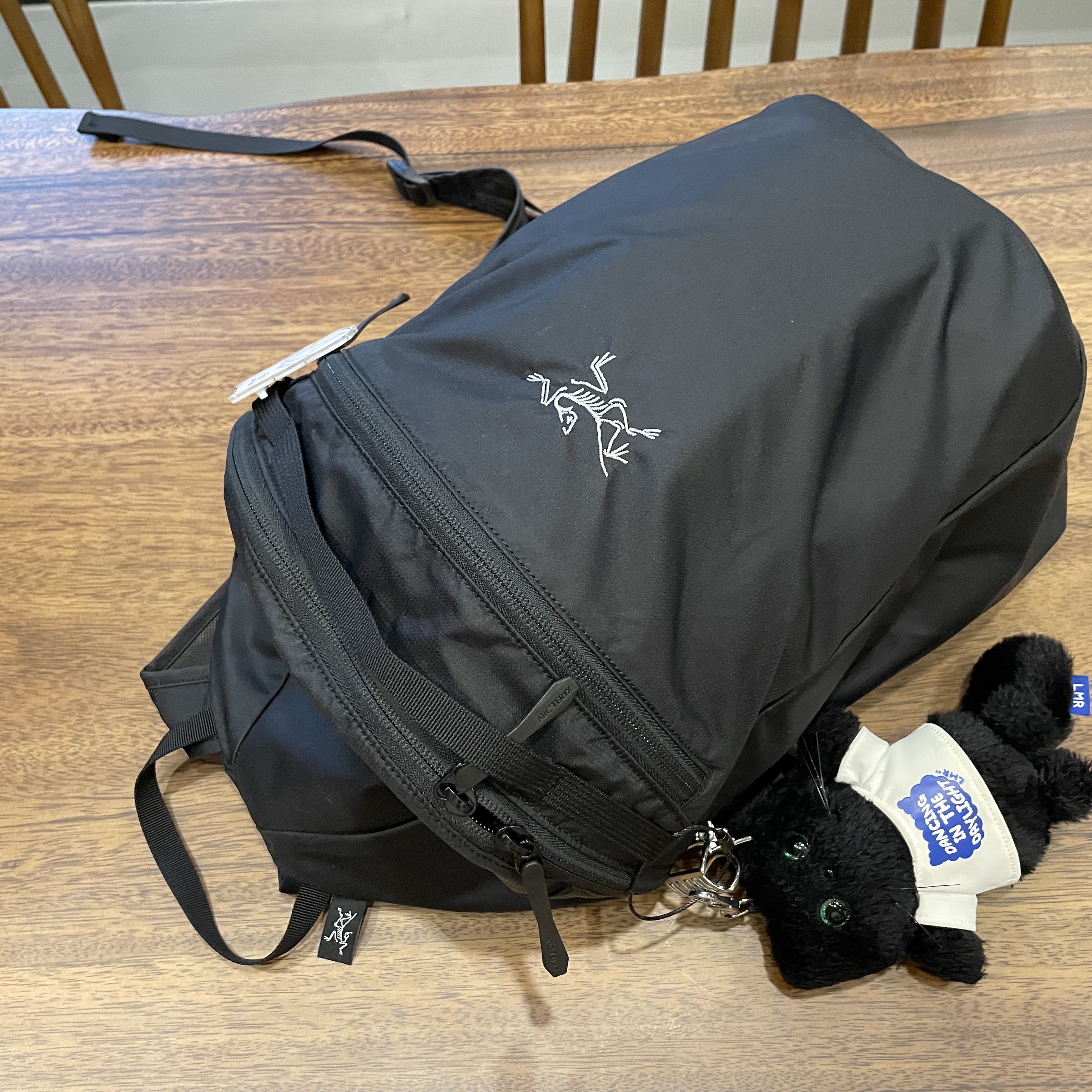 Arc'teryx Heliad 15 Backpack Black 착용 스타일 - 2