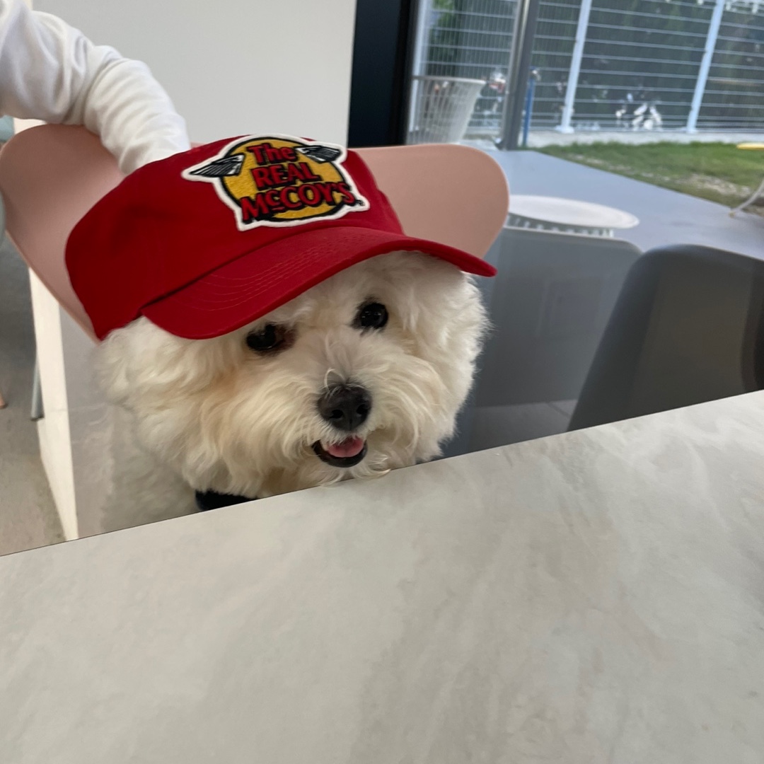 The Real McCoy's Logo Baseball Cap Red 착용 스타일
