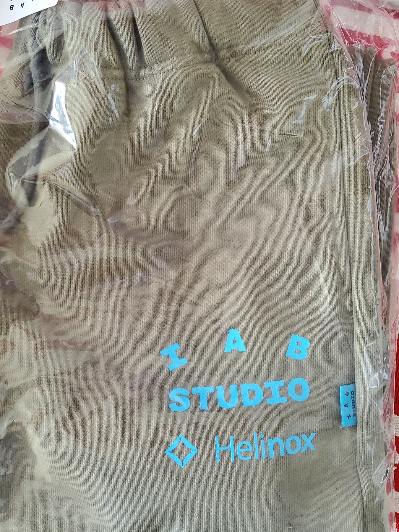 IAB Studio x Helinox Sweatpants Leaf Green 착용 스타일