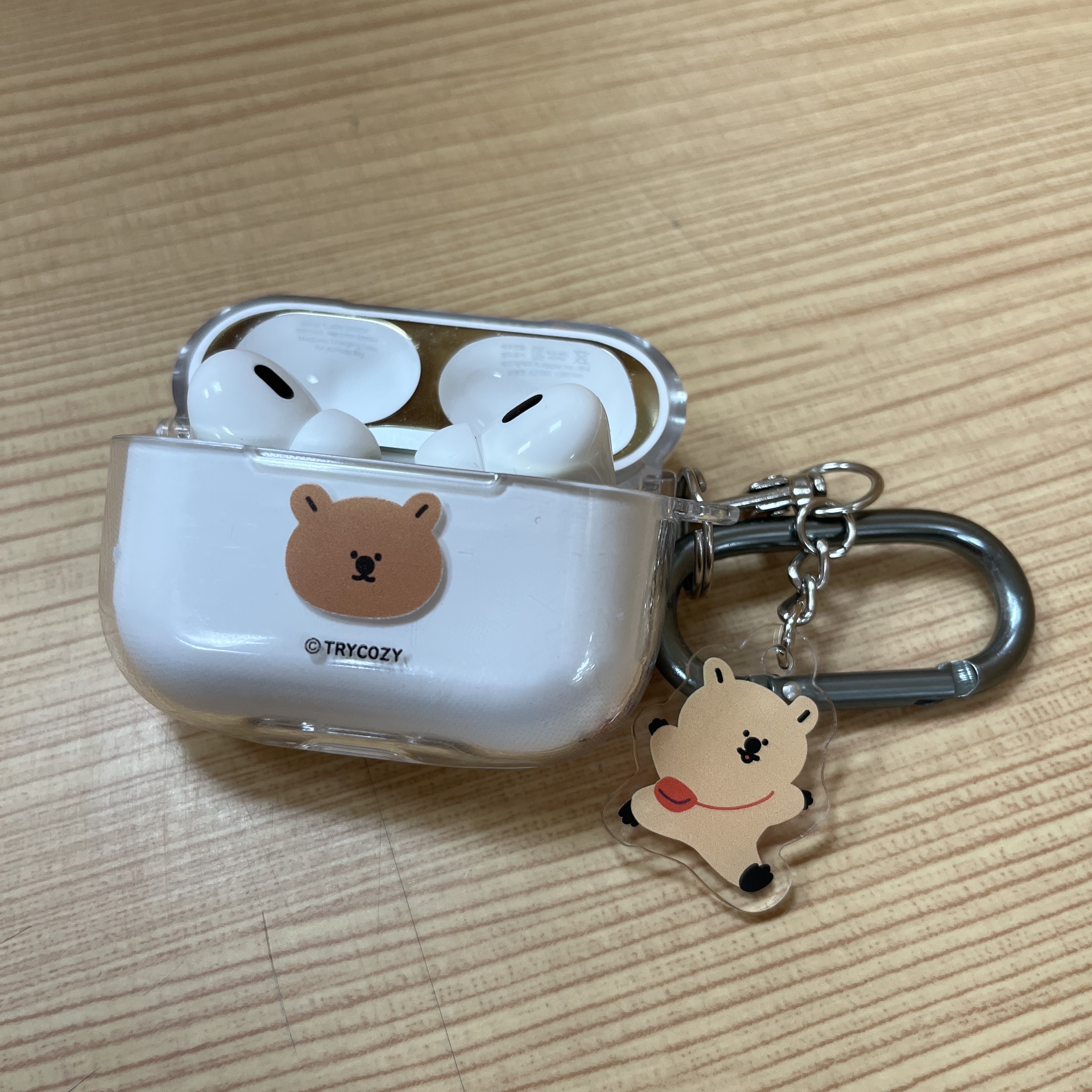 Apple AirPods Pro 2nd Gen (Korean Ver.) 착용 스타일