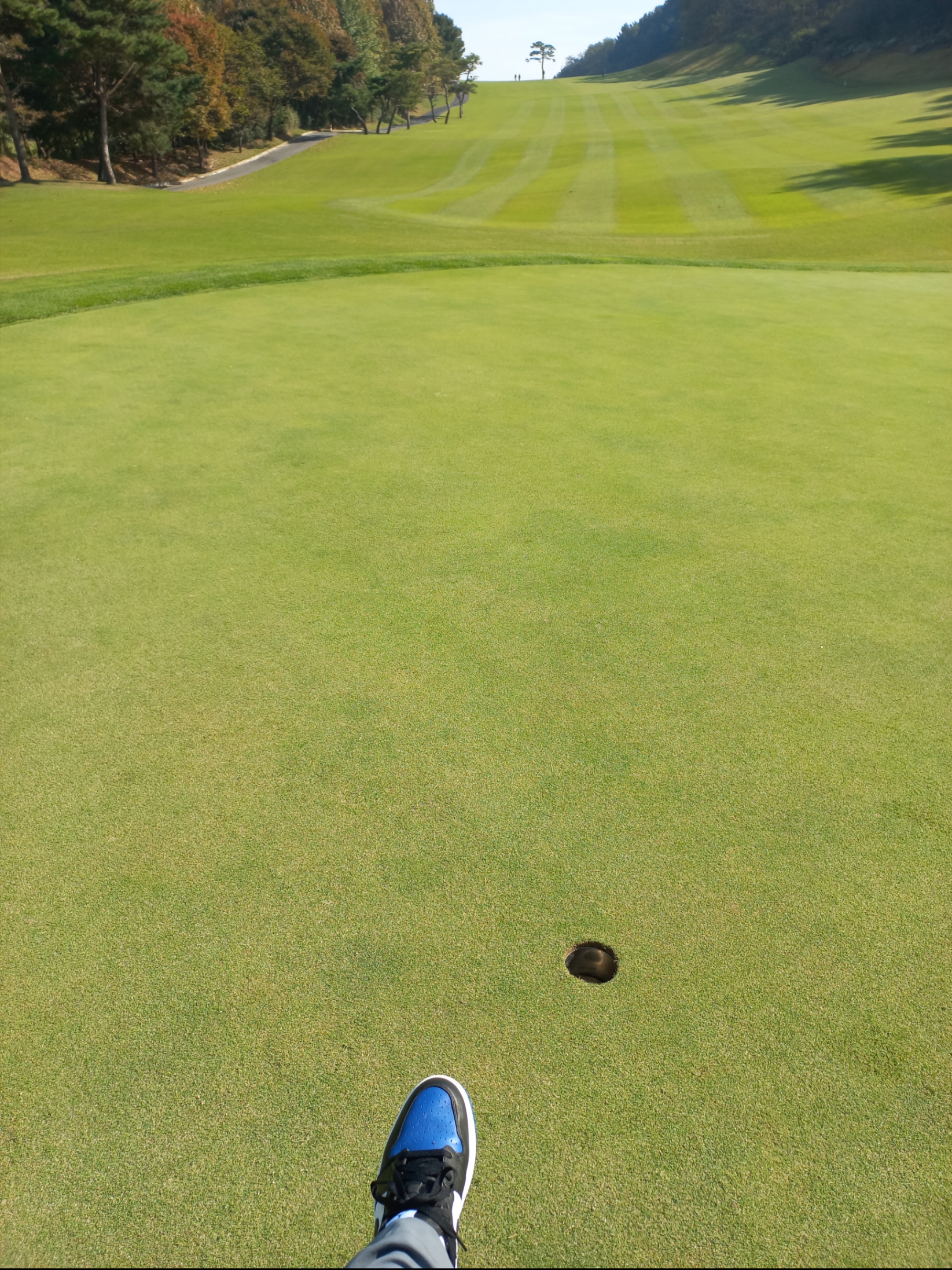 Jordan 1 Low Golf Sport Royal 착용 스타일