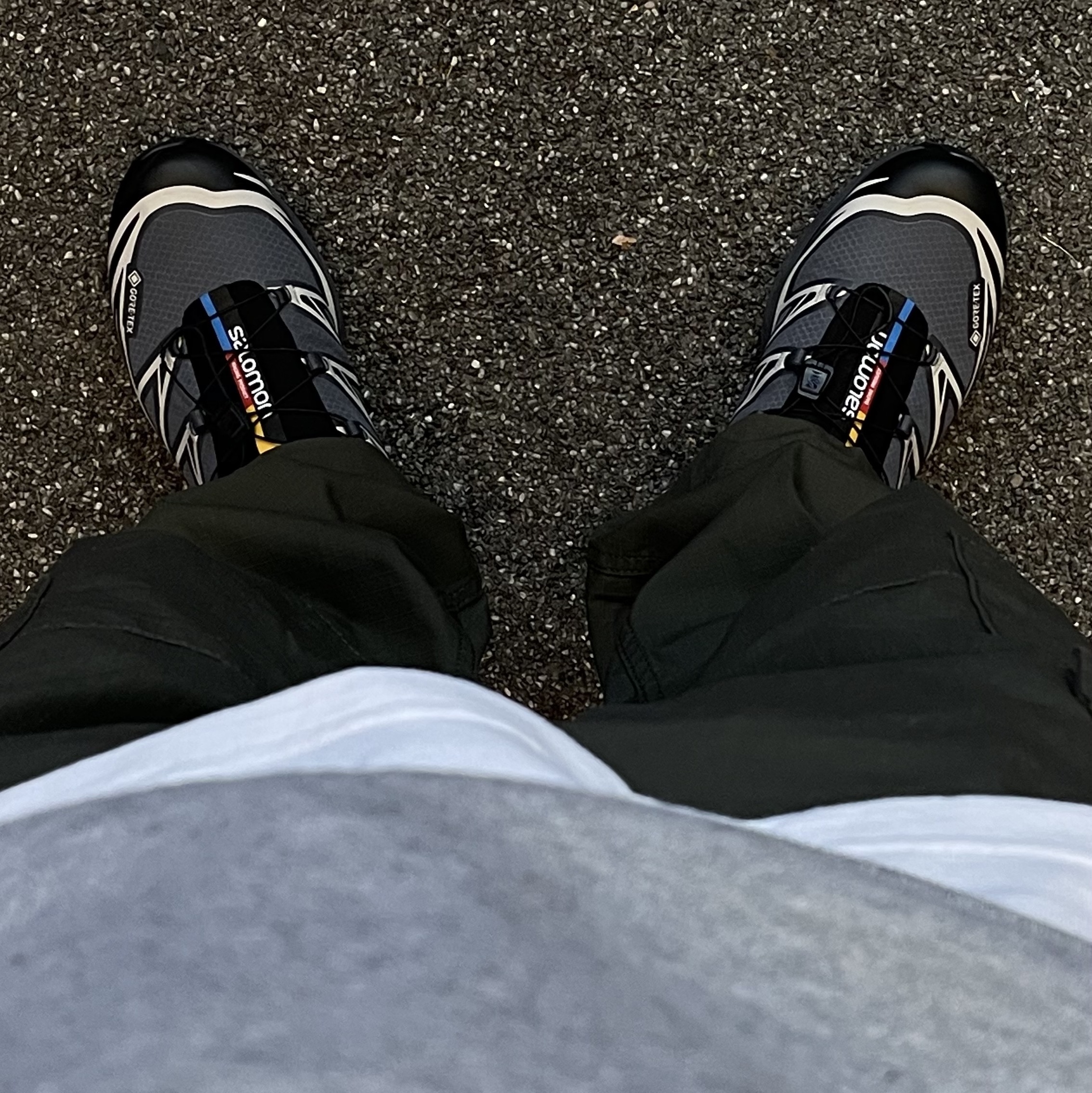 Salomon XT-6 Gore-Tex Black Ebony, Carhartt WIP Moraga Twill Regular Cargo Pants Plant 착용 스타일