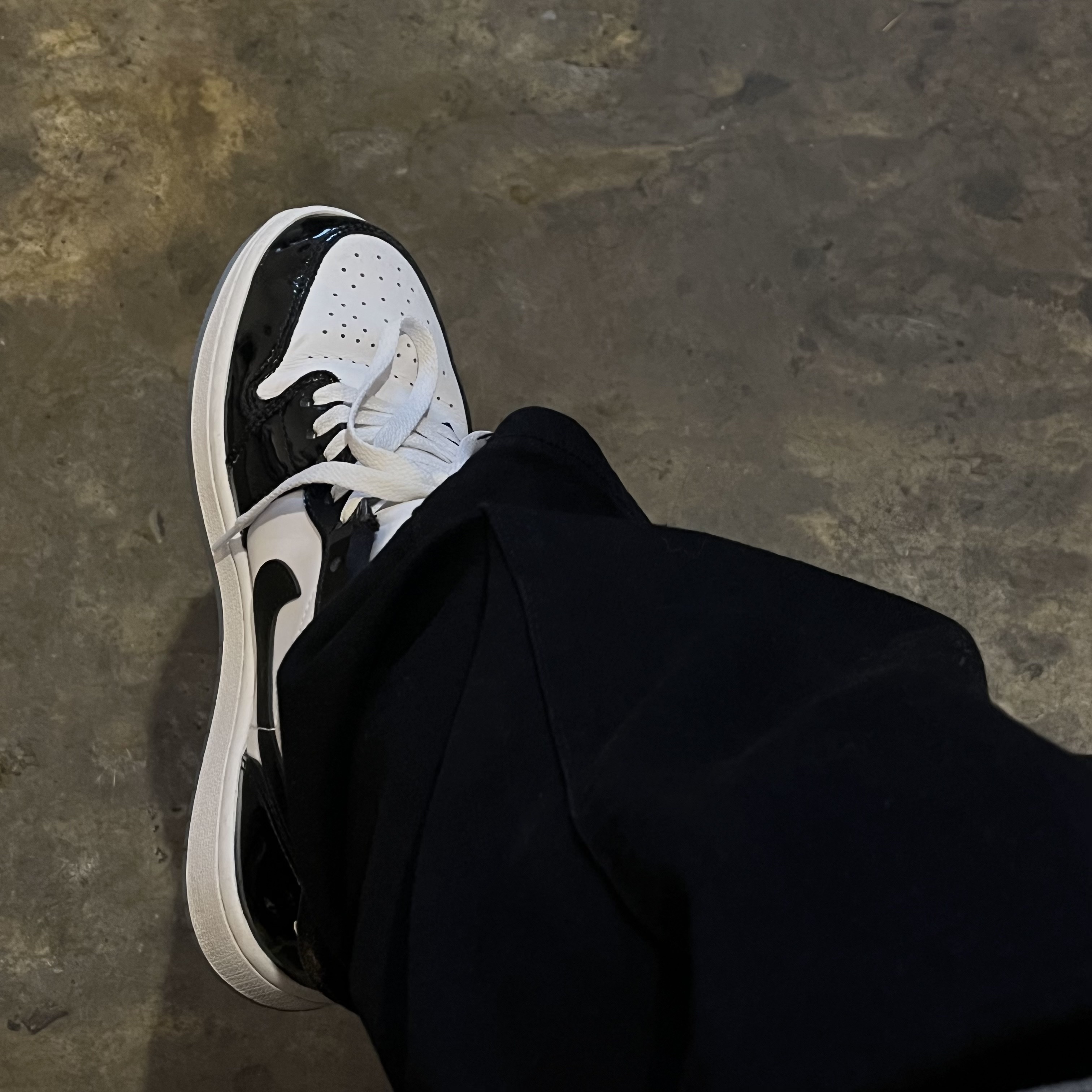 Jordan 1 Low SE Concord 착용 스타일