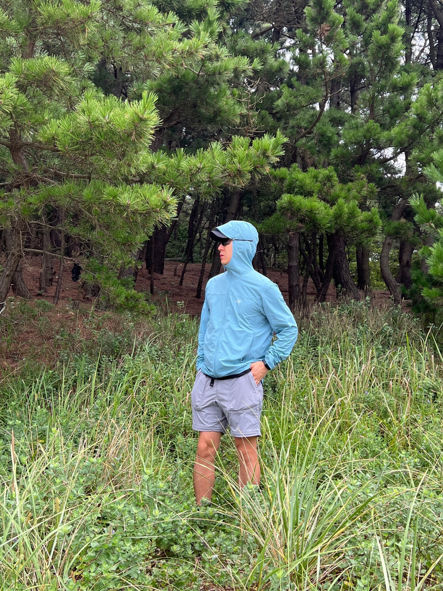 Arc'teryx Gamma Lightweight Hoody Solace 착용 스타일