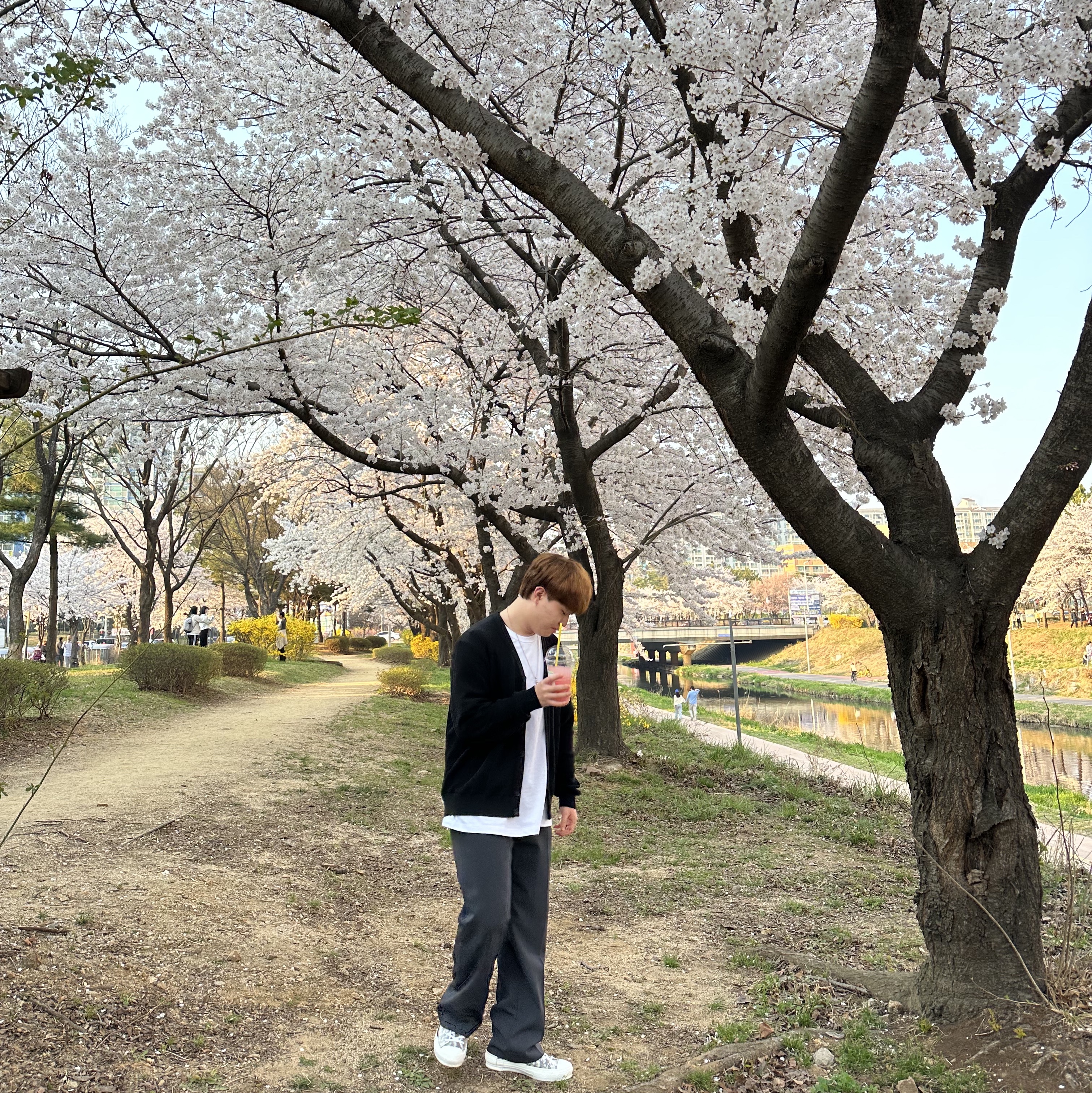 Lacoste V-Neck Cardigan Black, Dior B23 High Dior Oblique White & Black 착용 스타일 - 1