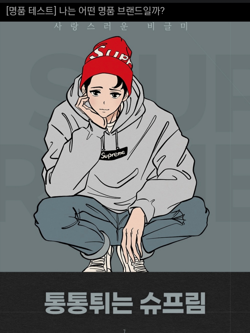 Supreme Bandana Box Logo Hooded Sweatshirt Heather Grey - 19FW, Supreme Big Logo Beanie Red - 21FW 착용 스타일 - 1