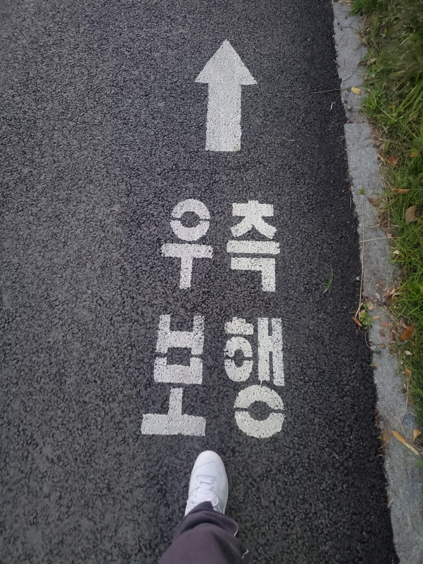 New Balance 550 White - 2E Wide 착용 스타일 - 1