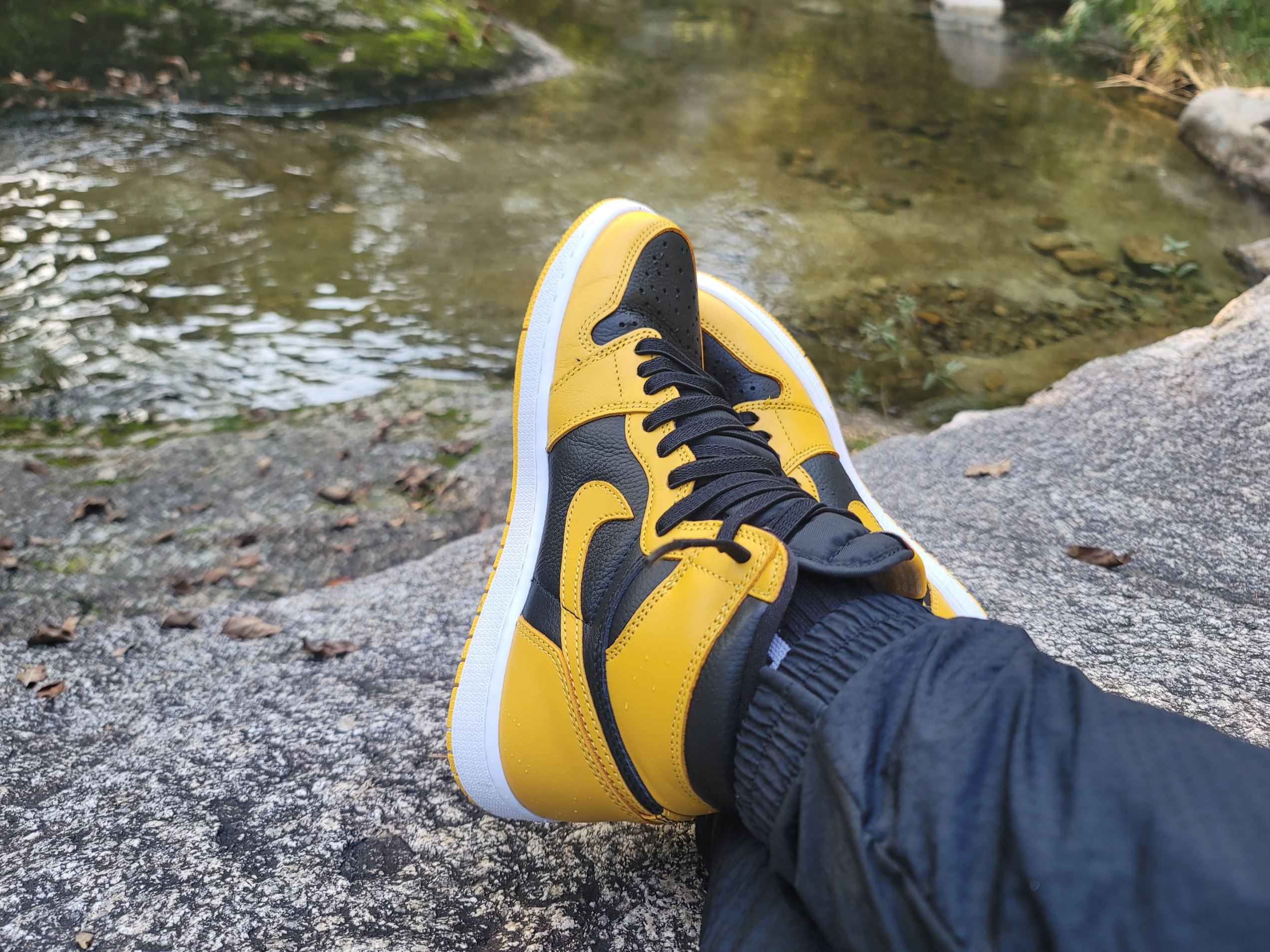Jordan 1 Retro High OG Pollen 착용 스타일