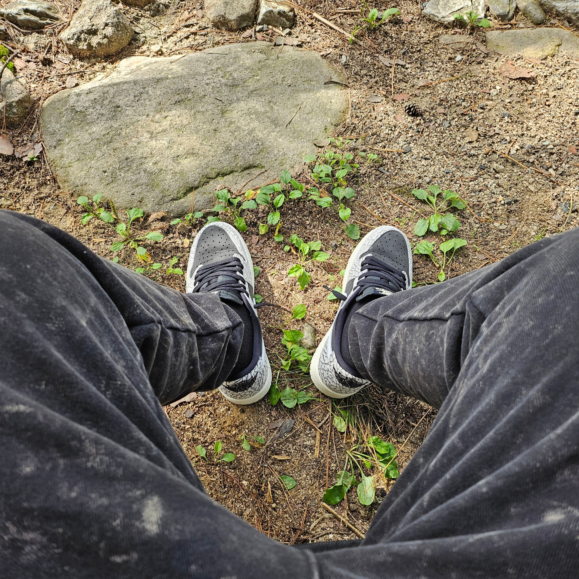 Jordan 1 Retro Low OG Black Cement 착용 스타일