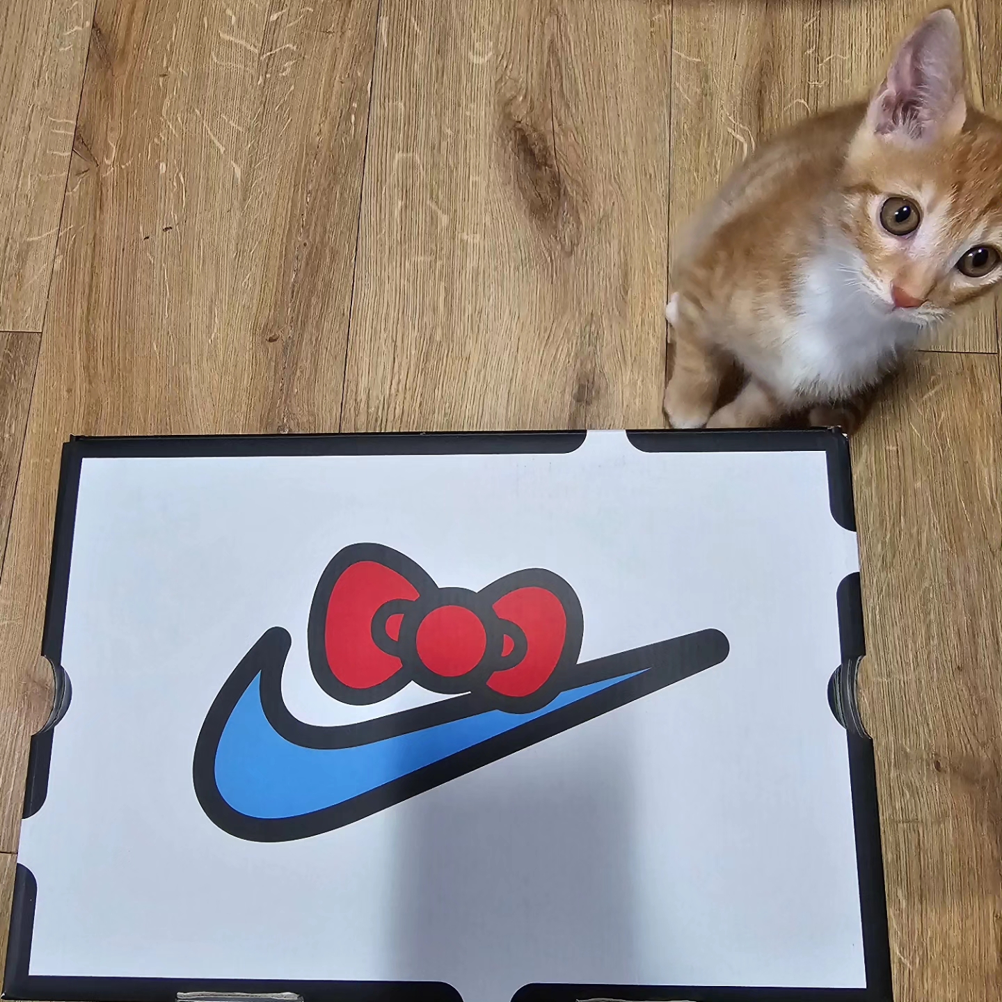 Nike x Hello Kitty Air Presto University Blue 착용 스타일 - 1