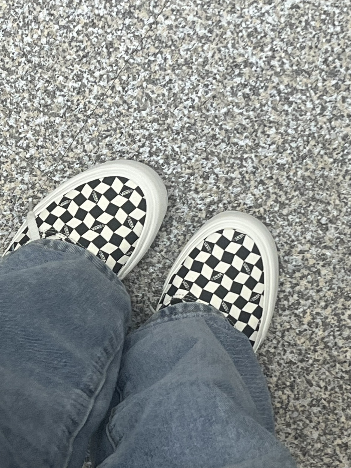 Vans Authentic VR3 SF Checkerboard Marshmallow 착용 스타일 - 2