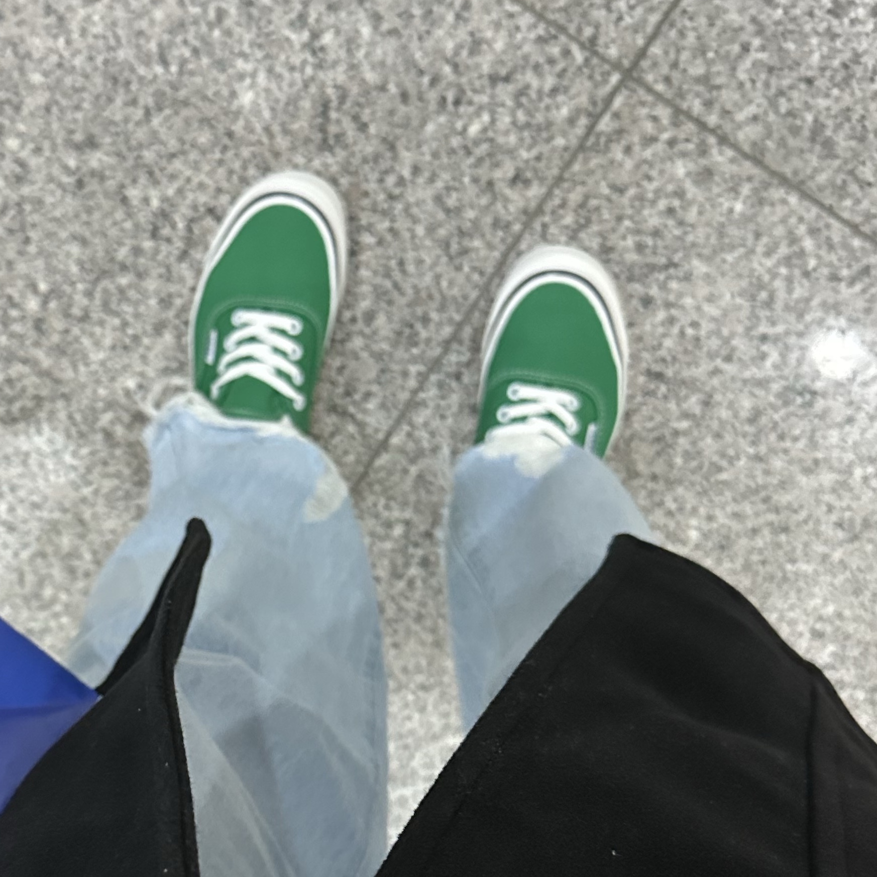 Vans Authentic 44 DX Anaheim Factory Emerald Green 착용 스타일