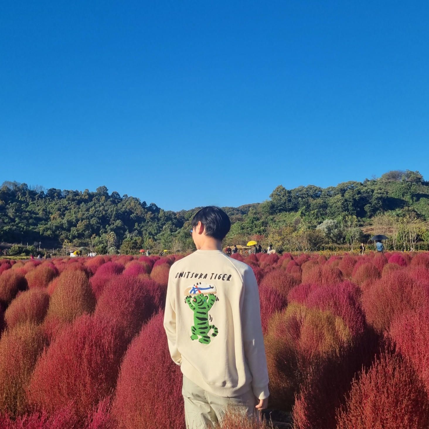 2elmo님의 스타일