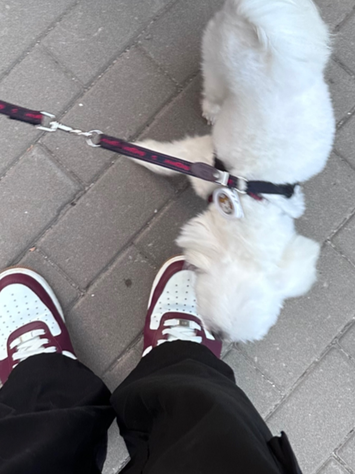 Nike Air Force 1 '07 LV8 Night Maroon 착용 스타일 - 2