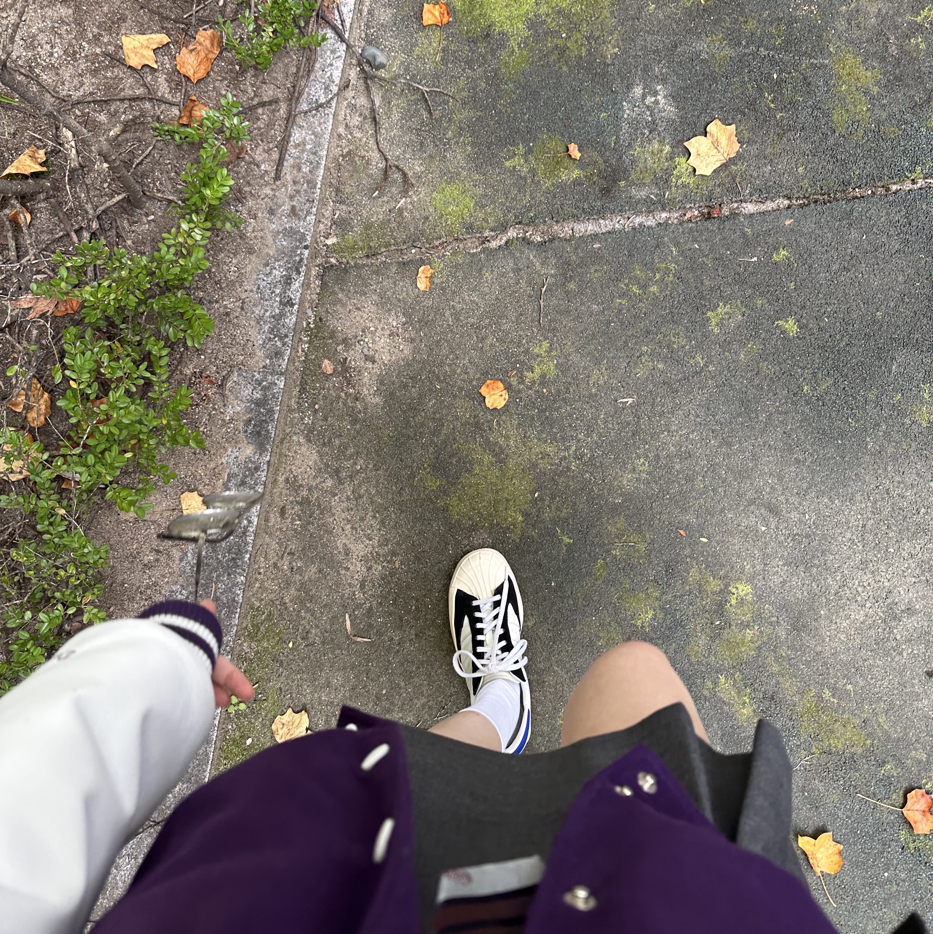 Y-3 Yohji Star Cloud White Bold Blue 착용 스타일