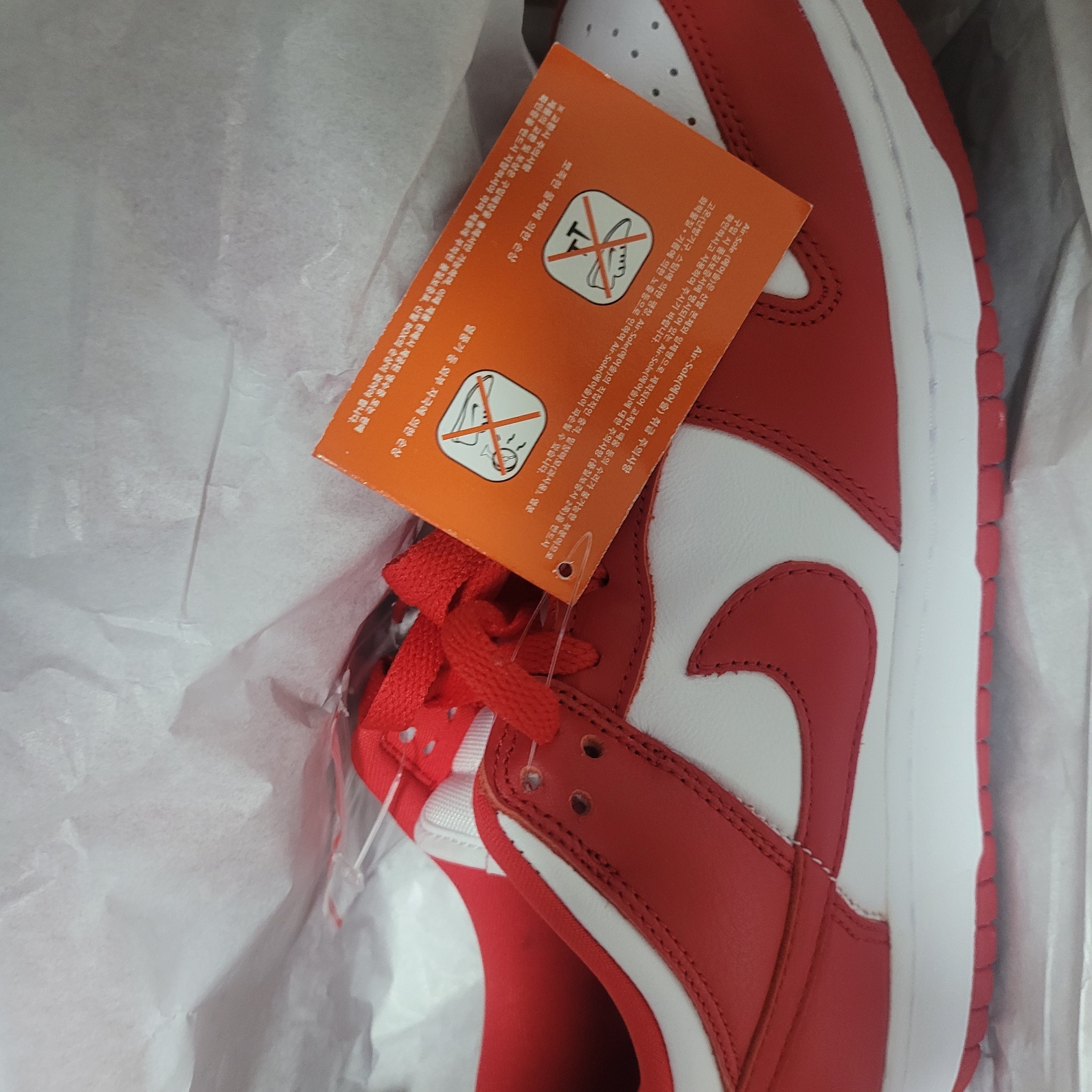 Nike Dunk Low SP White and University Red 2023 착용 스타일
