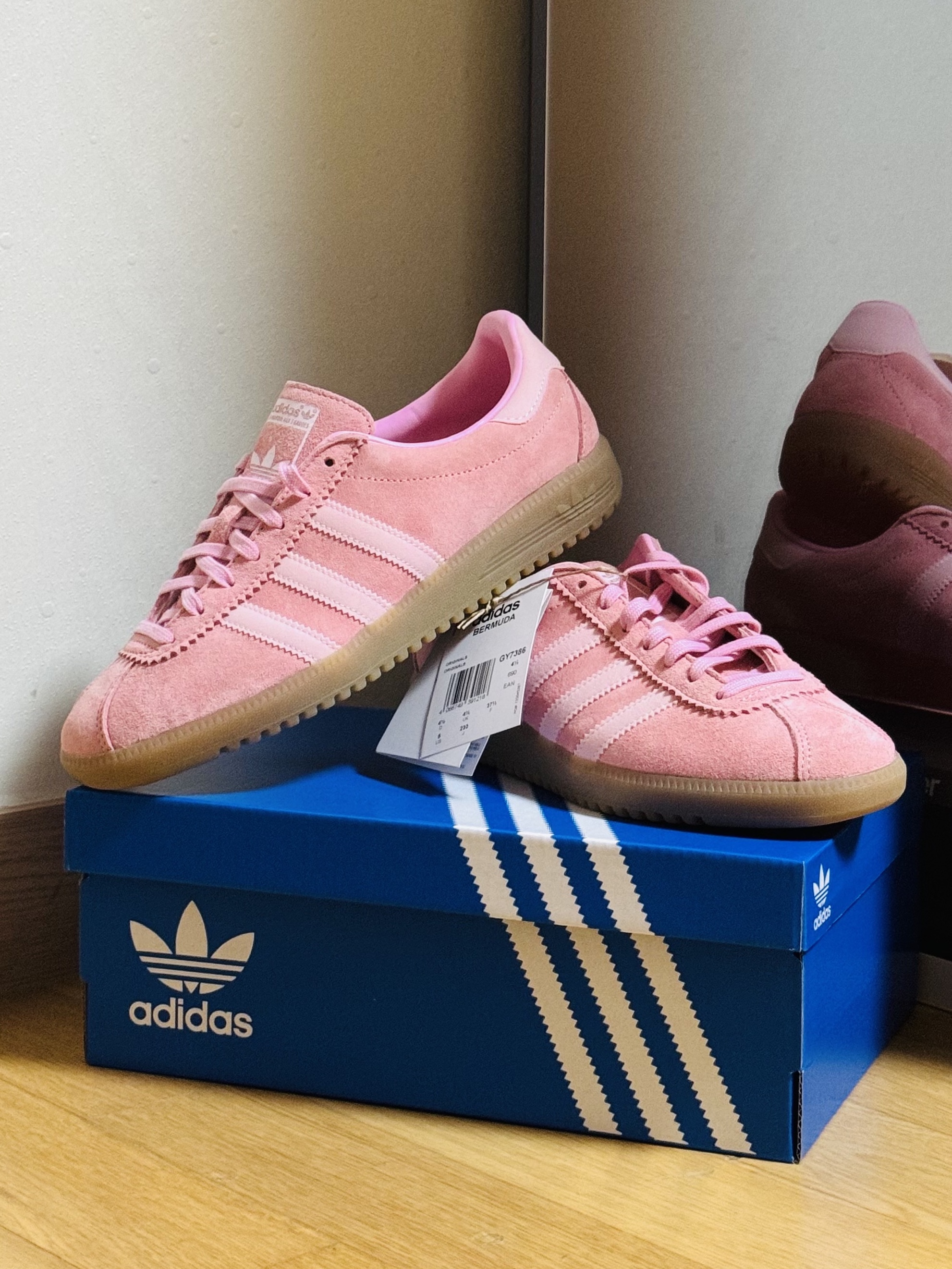 Adidas Bermuda Glow Pink 착용 스타일