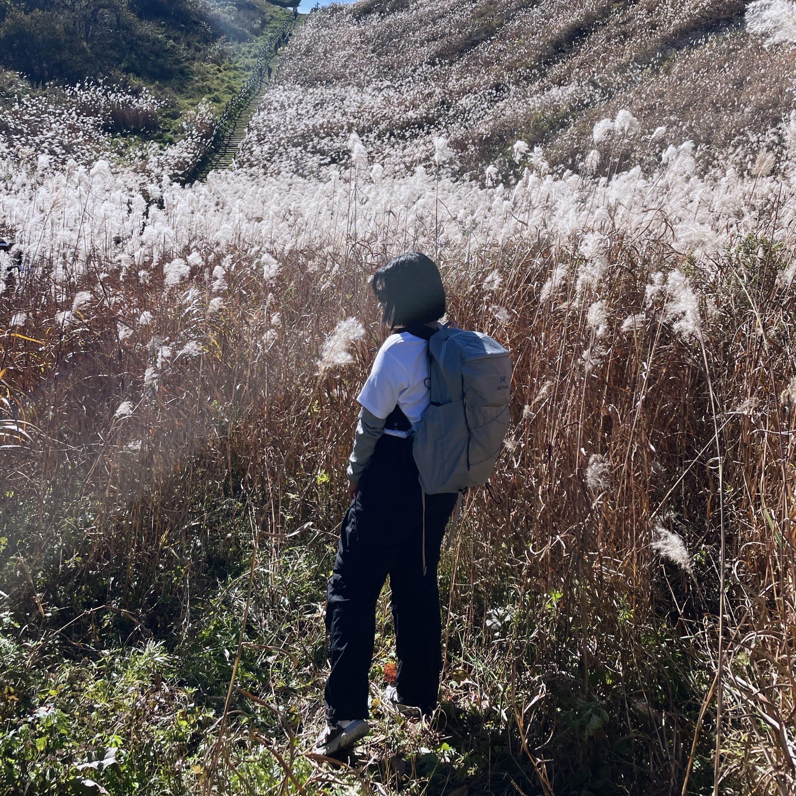 Nike ACG Mountain Fly Low SE White and Black, Nike ACG Smith Summit Cargo Pants Black - Asia μ°©μ© μ€νμΌ - 2
