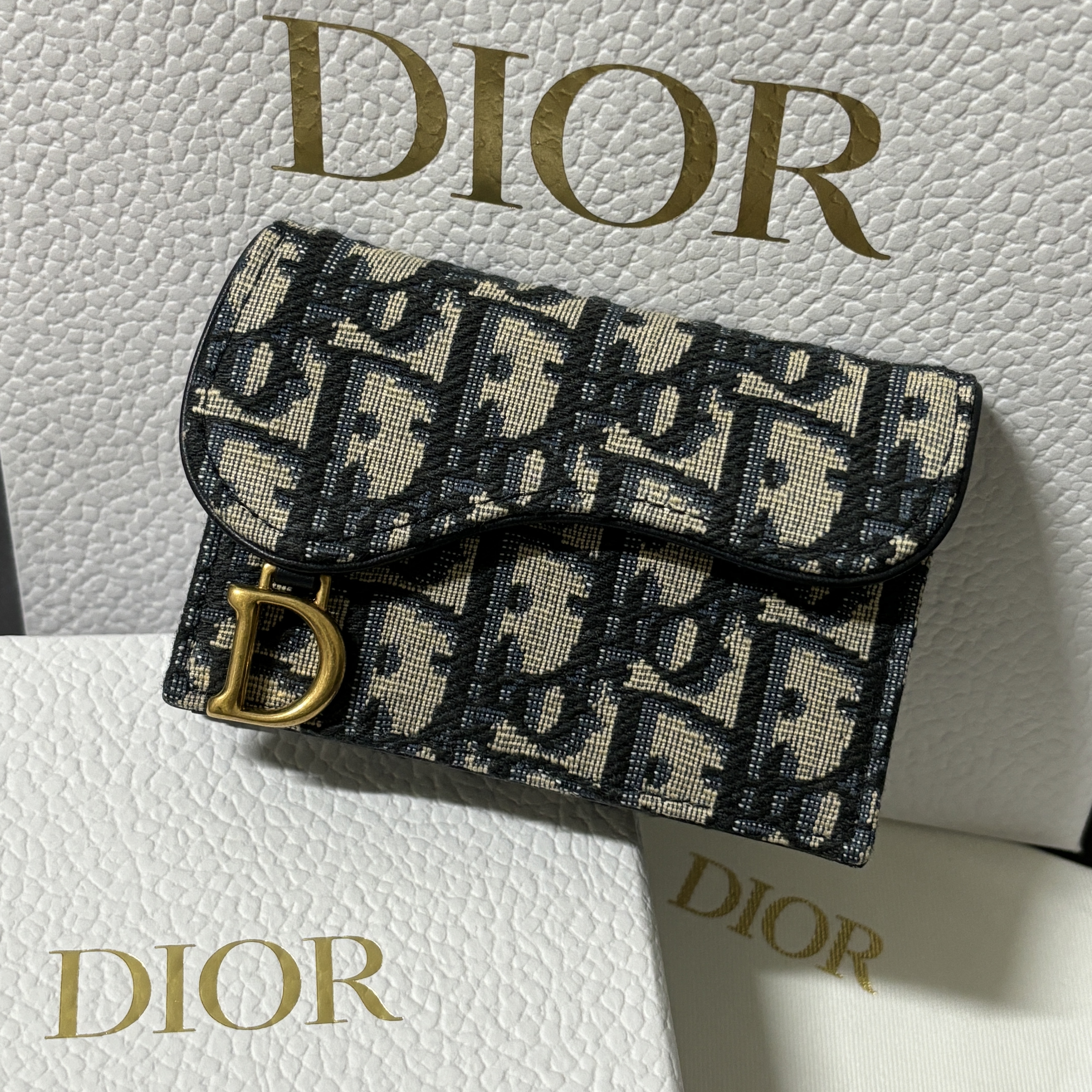 Dior Saddle Flap Card Holder Blue Dior Oblique Jacquard 착용 스타일