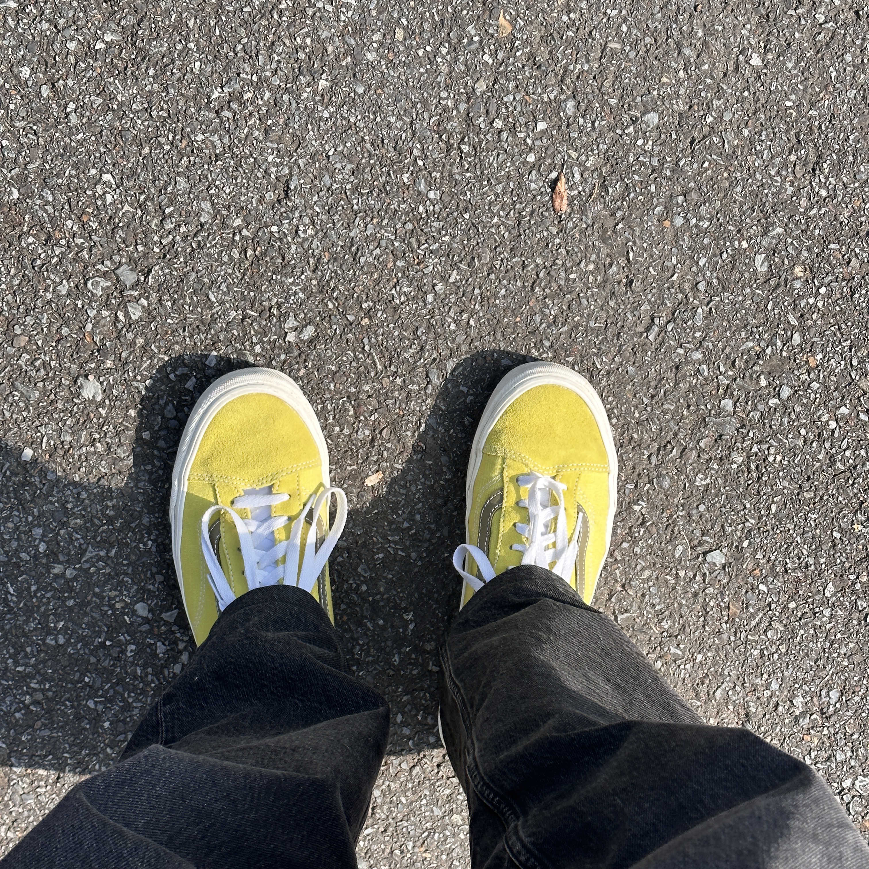 Vans Style 36 Suede Canvas Green Sheen 착용 스타일