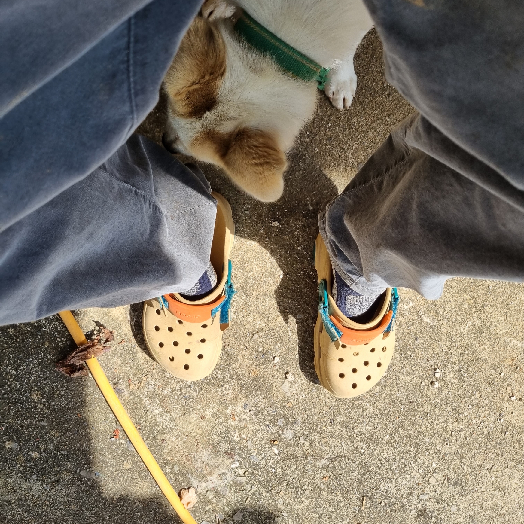 Crocs All Terrain Clog Chai Multi 착용 스타일