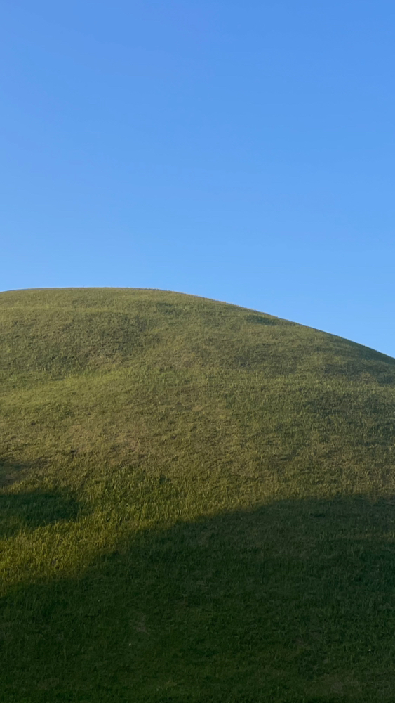 관심 유저 프로필 이미지