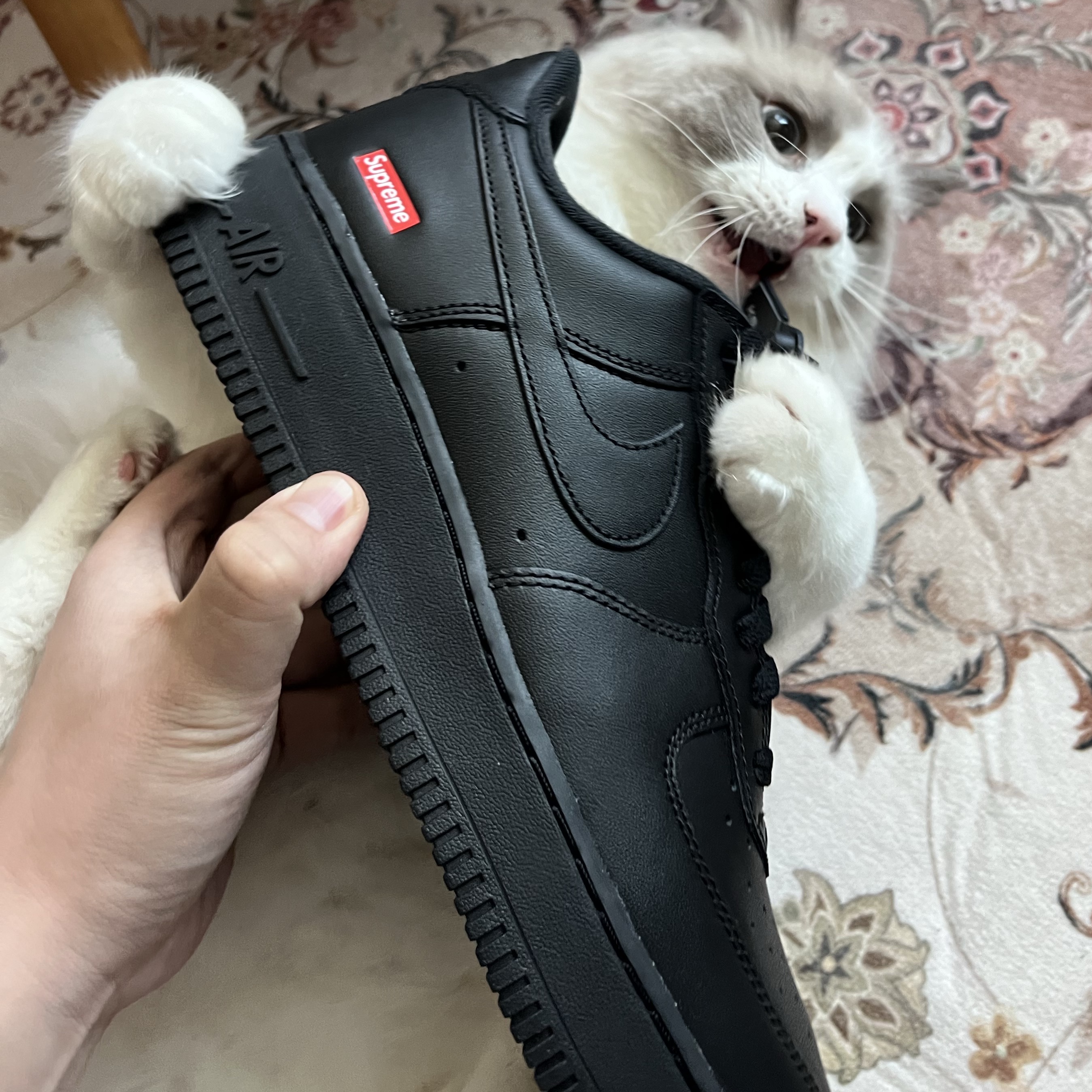 Nike x Supreme Air Force 1 Low Black 착용 스타일