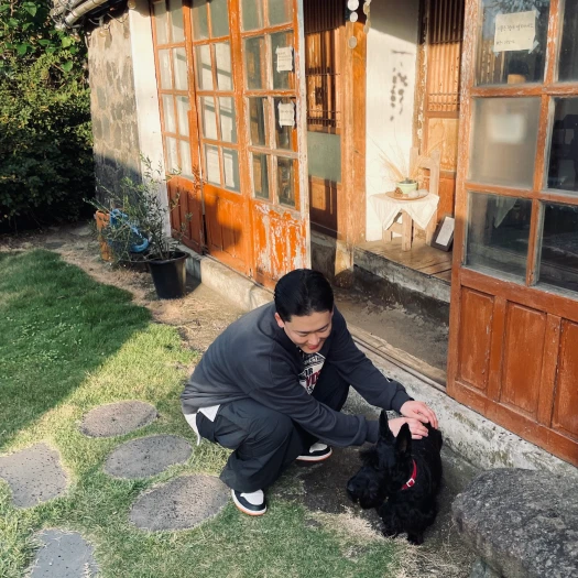 스타일 카드