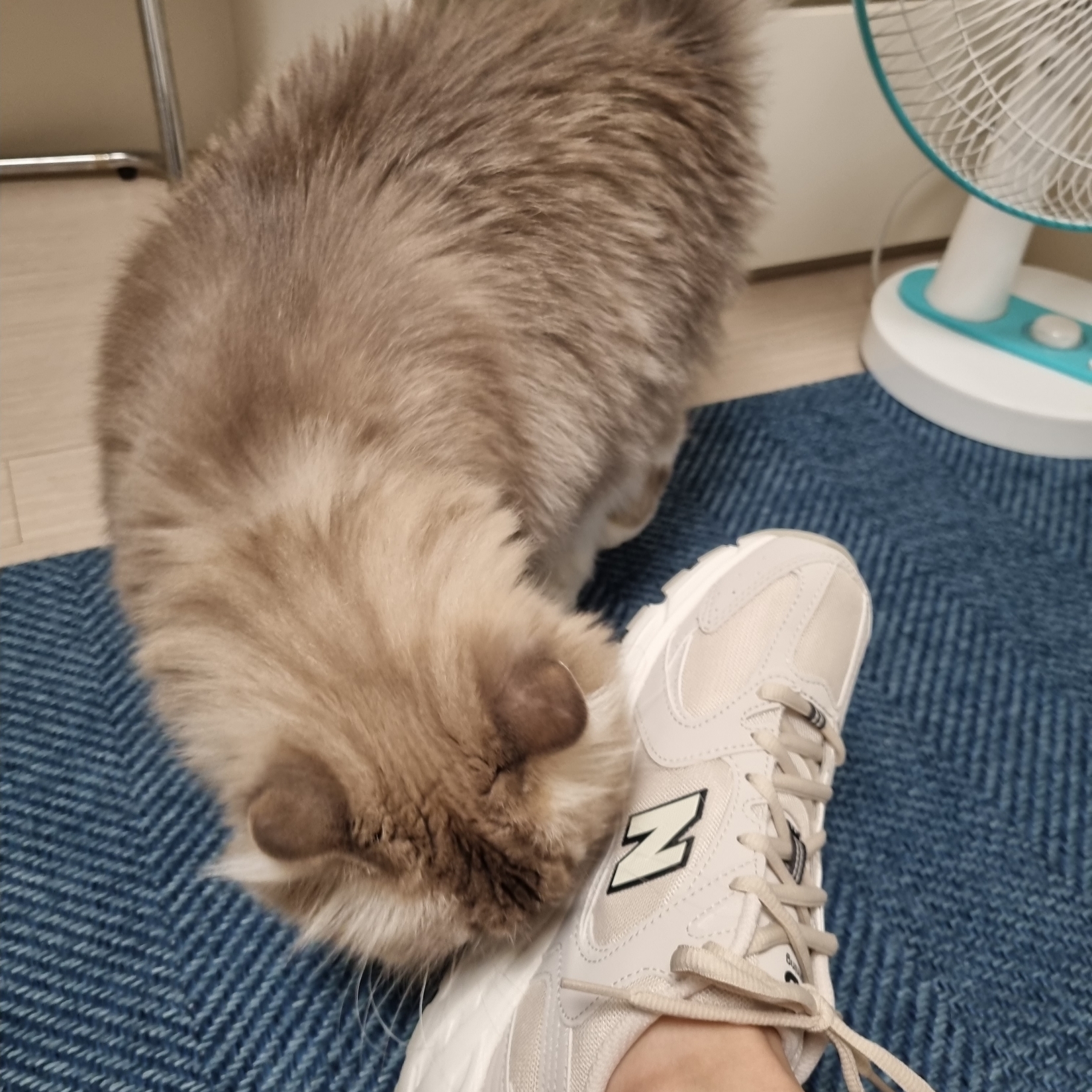 New Balance 530 Ivory 착용 스타일 - 3