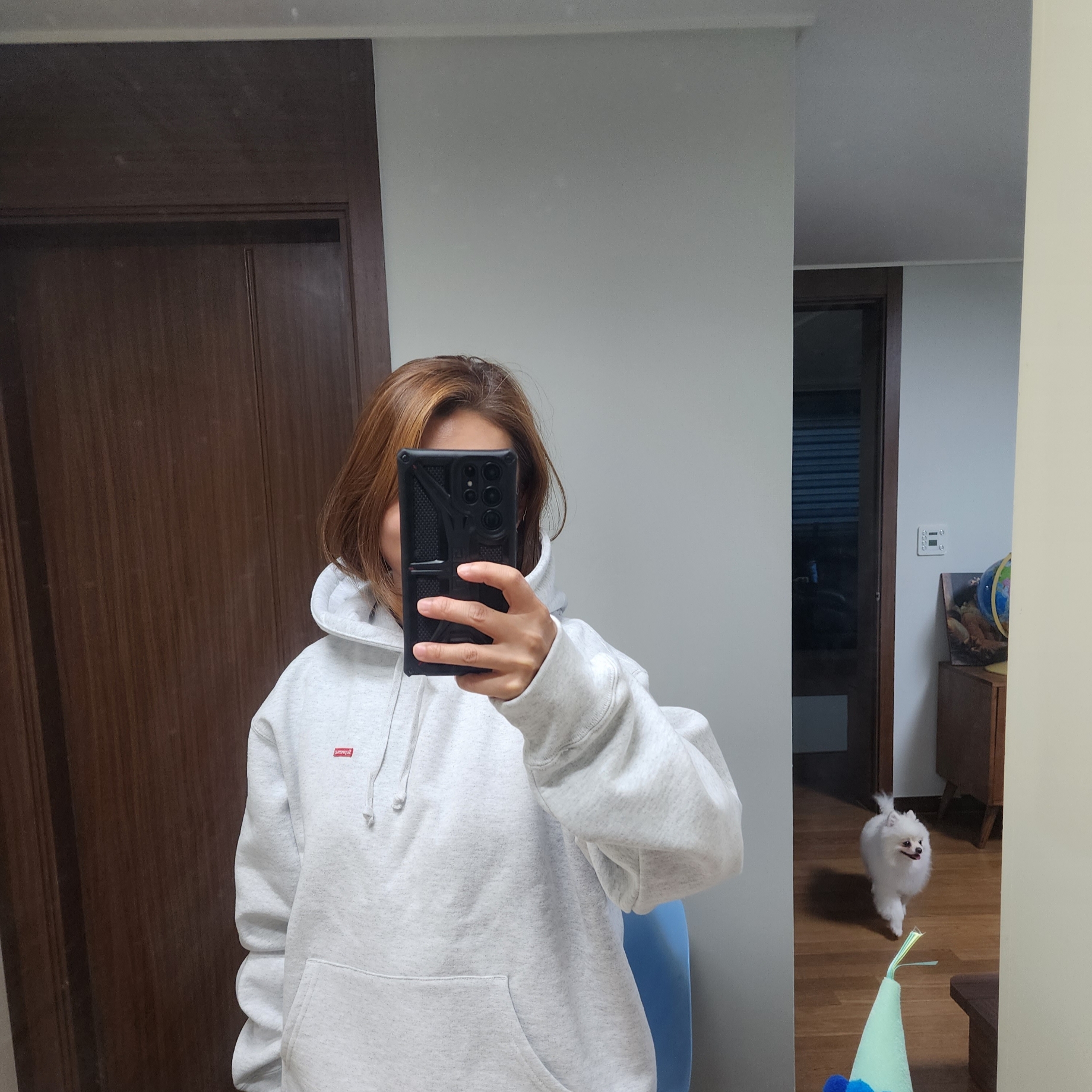 Supreme Small Box Hooded Sweatshirt Ash Grey - 23SS 착용 스타일 - 1