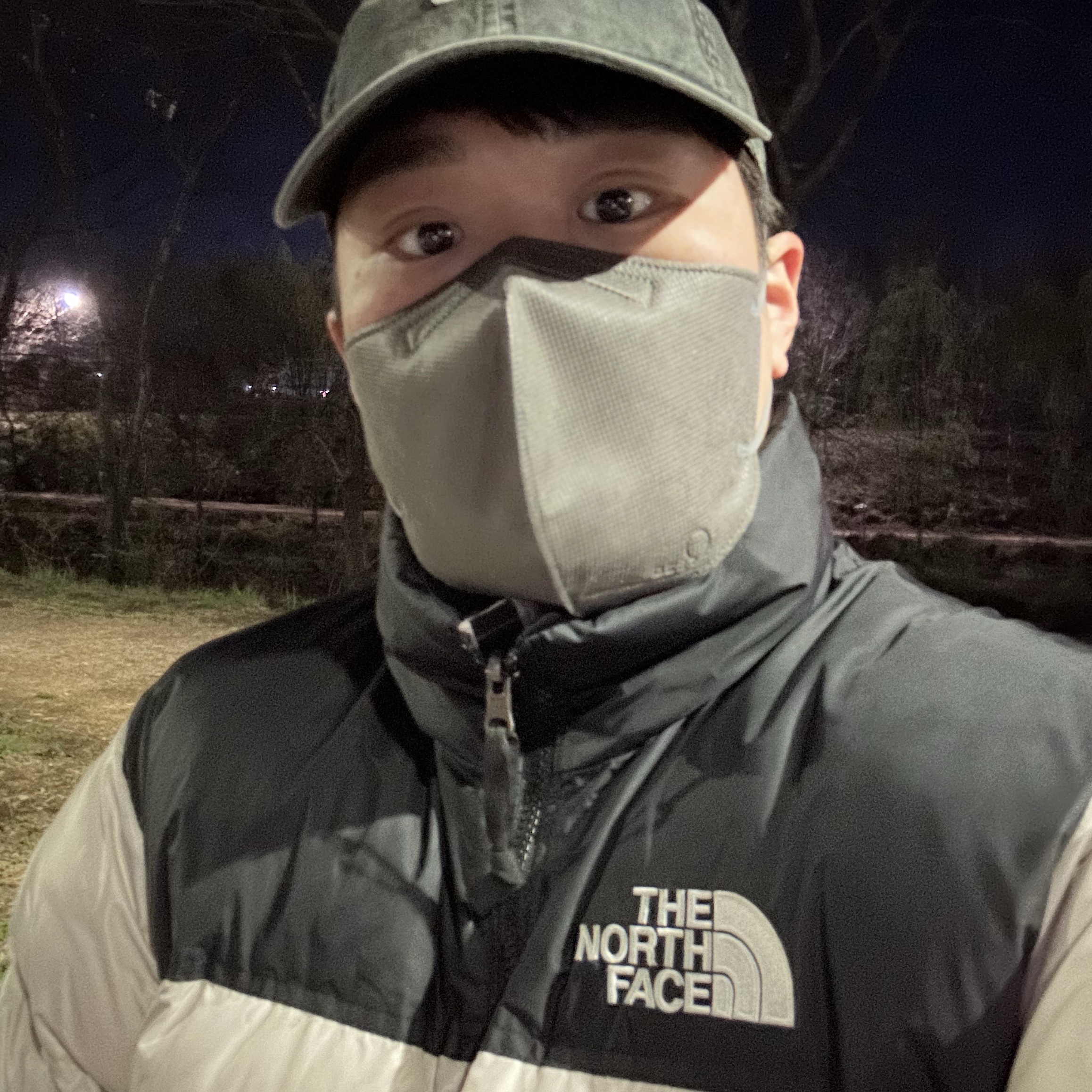 The North Face Nuptse Hybrid Down Ball White Sand 착용 스타일