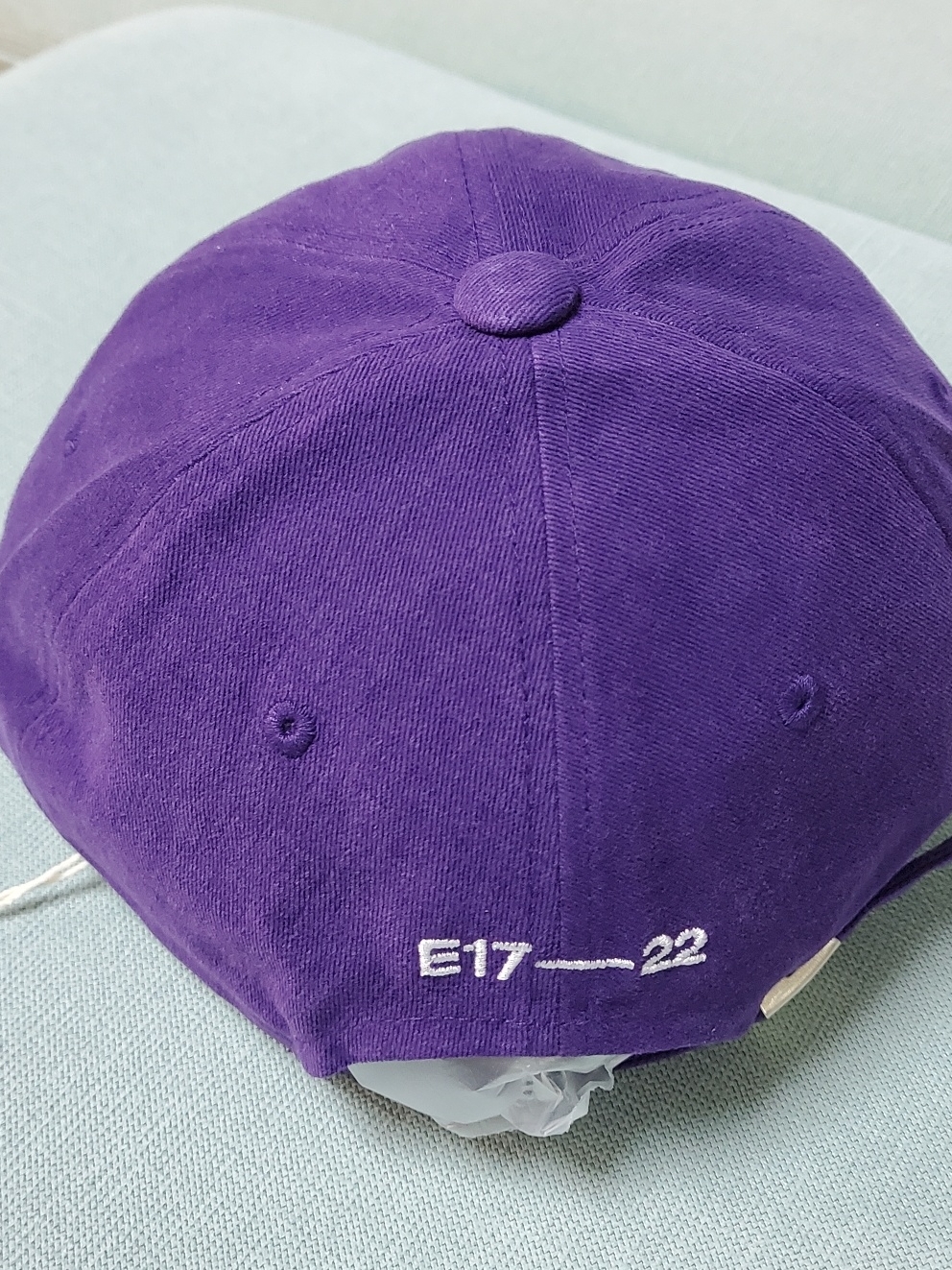 Emis Wappen Ball Cap Purple 착용 스타일 - 2