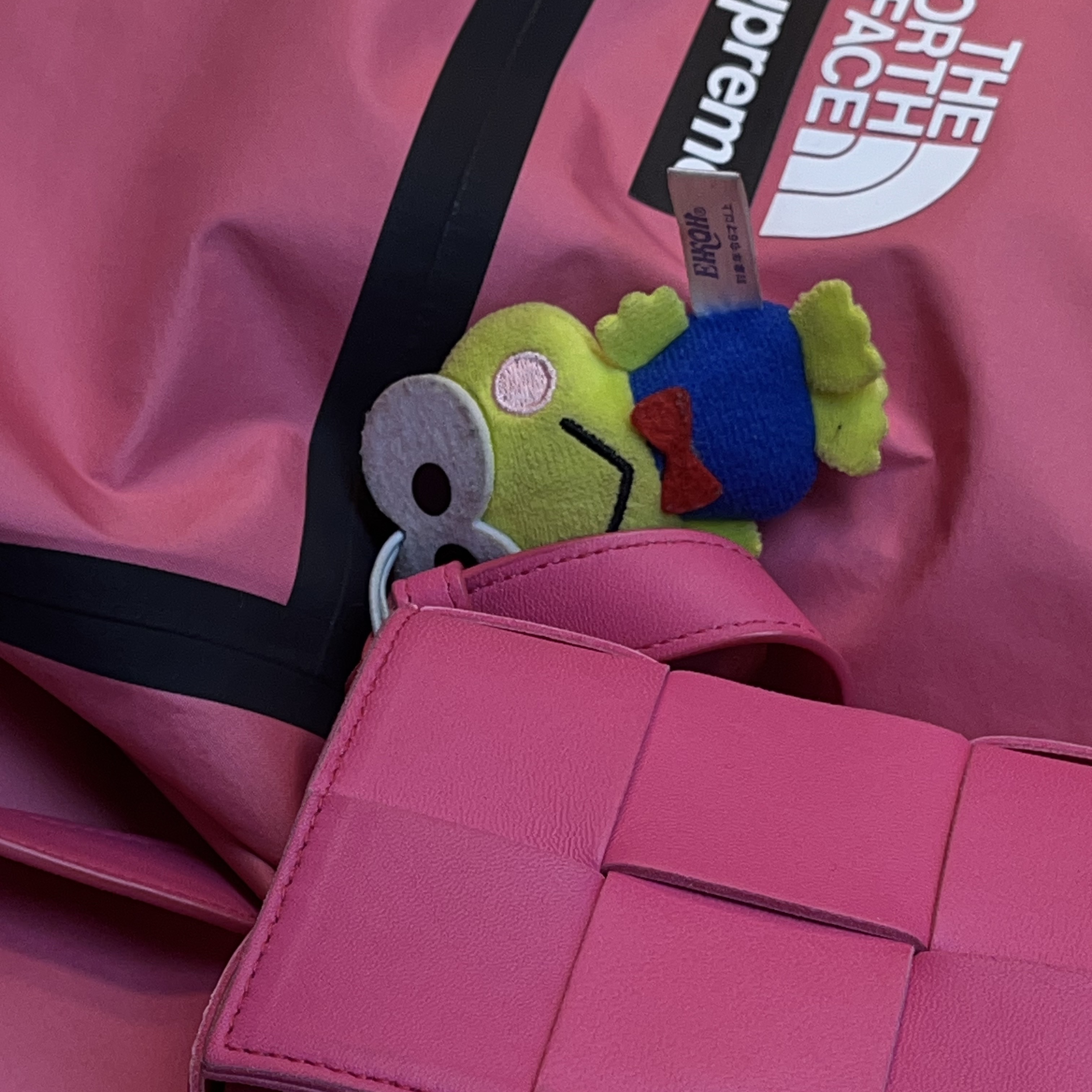 Supreme x The North Face Summit Series Outer Tape Seam Coaches Jacket Pink - 21SS 착용 스타일 - 1