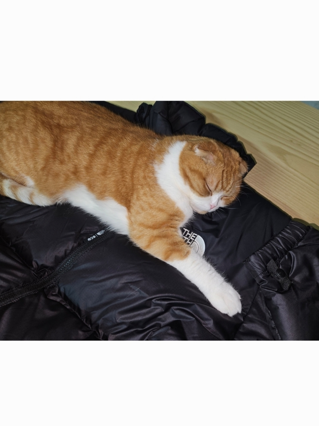 The North Face 1996 Eco Nuptse Jacket Black 착용 스타일 - 2