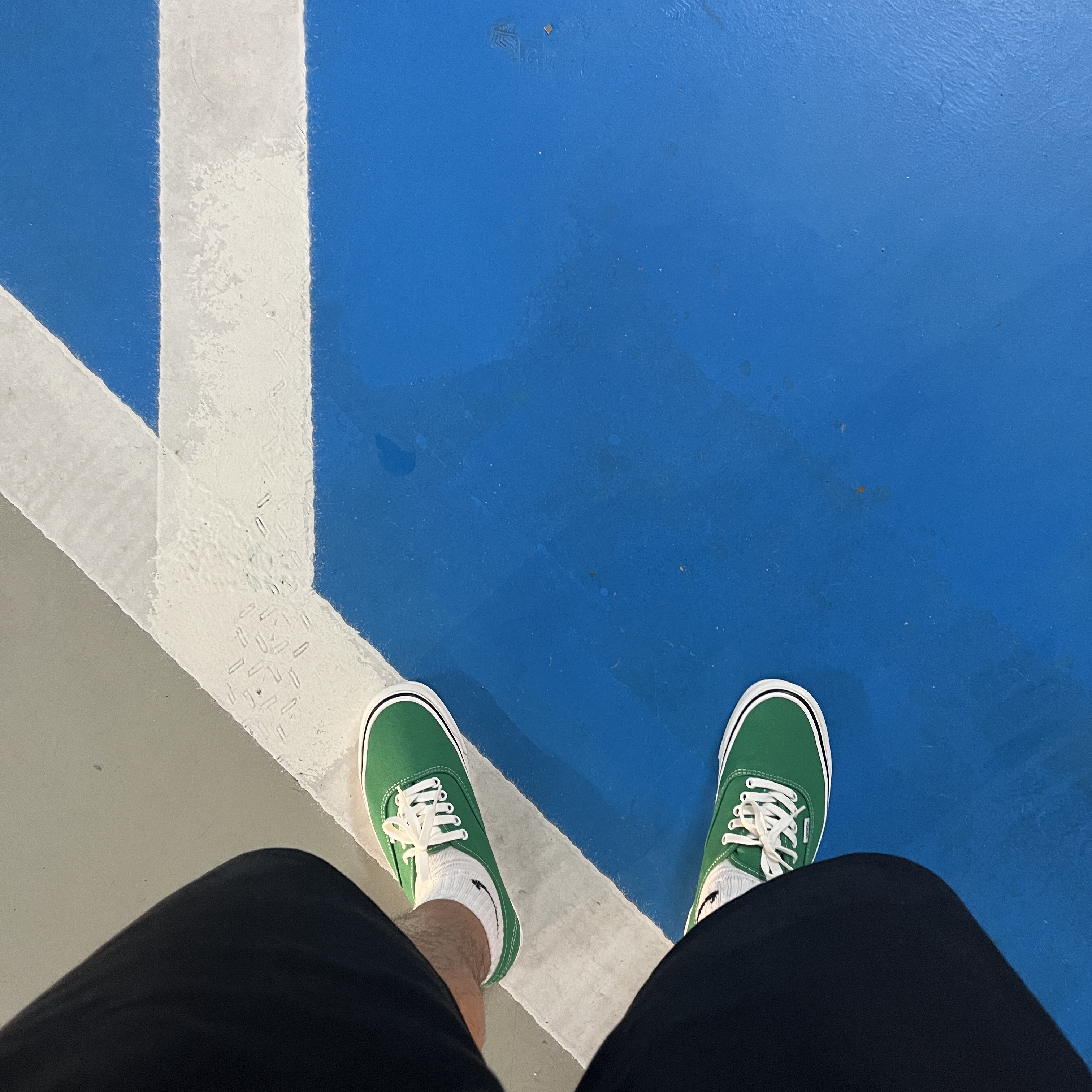 Vans Authentic 44 DX Anaheim Factory Emerald Green 착용 스타일