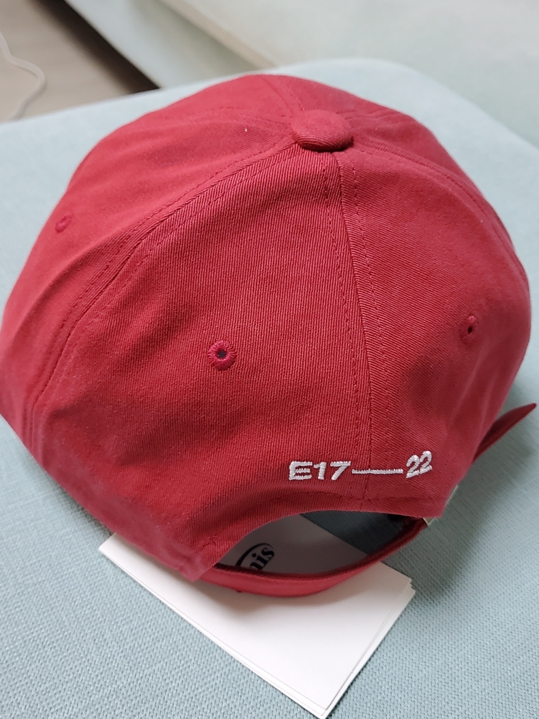 Emis Wappen Ball Cap Red 착용 스타일 - 2
