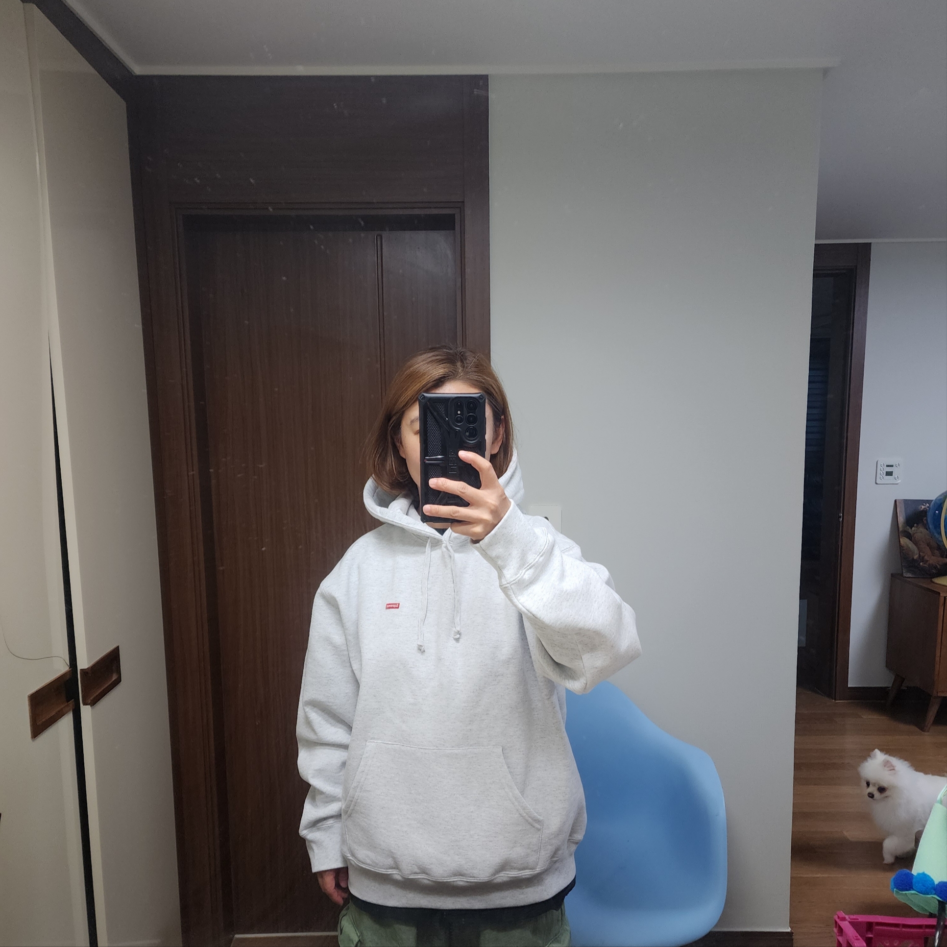 Supreme Small Box Hooded Sweatshirt Ash Grey - 23SS 착용 스타일 - 2