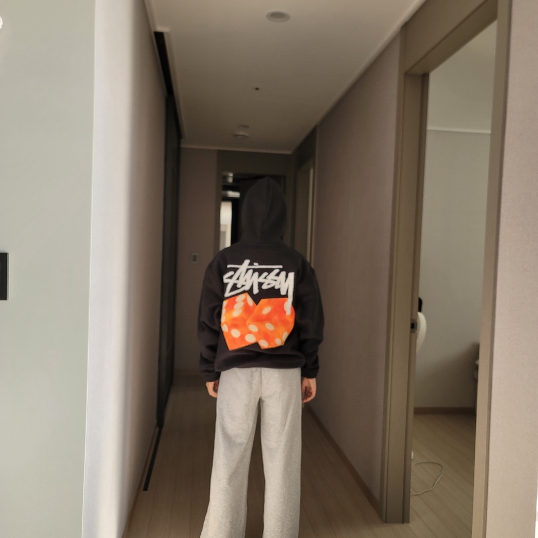 Stussy Diced Out Hoodie Black 착용 스타일