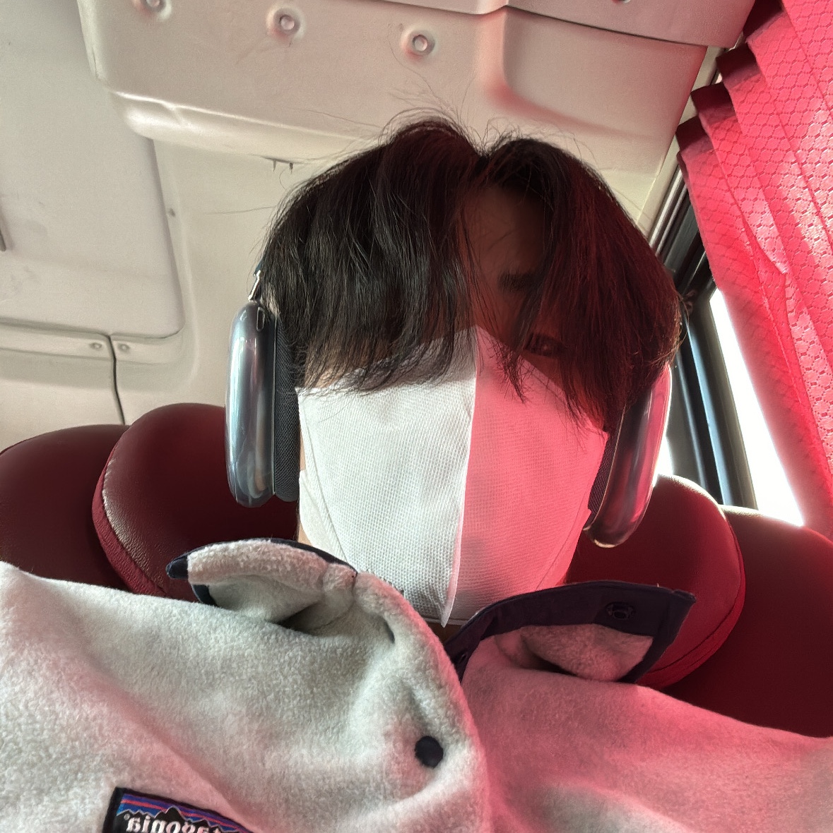 Patagonia Synchilla Snap-T Fleece Pullover Oatmeal Heather, Apple AirPods Max Lightning Sky Blue (Korean Ver.) 착용 스타일