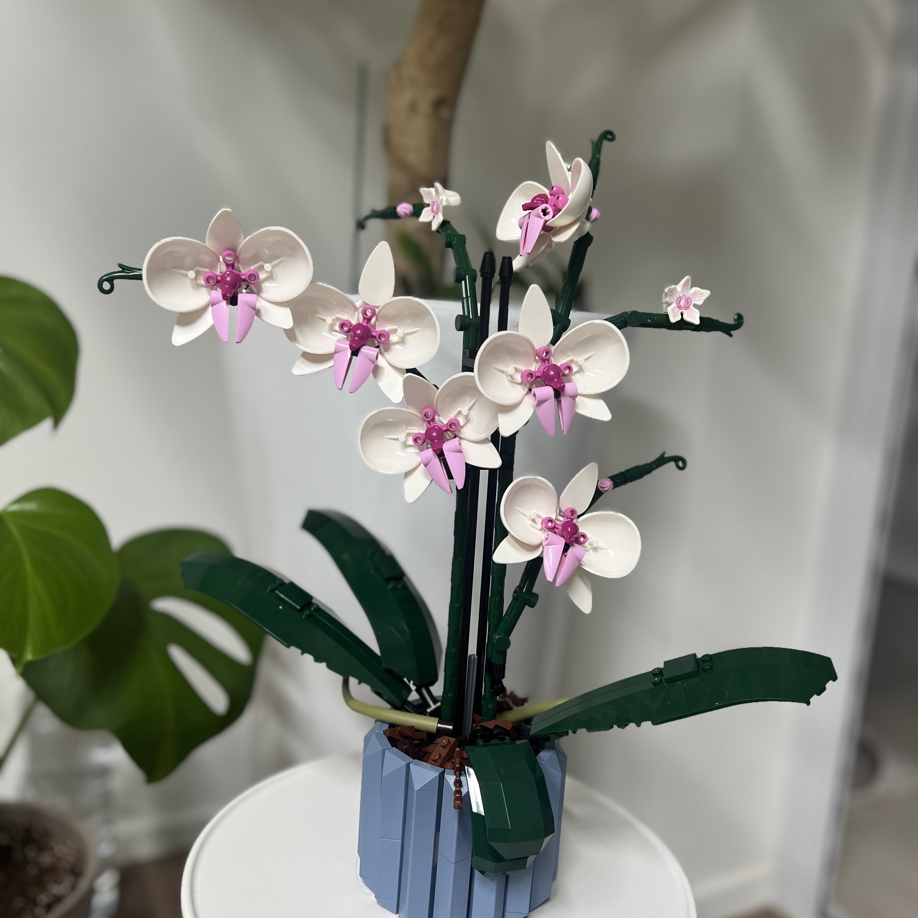 Lego Orchid 착용 스타일