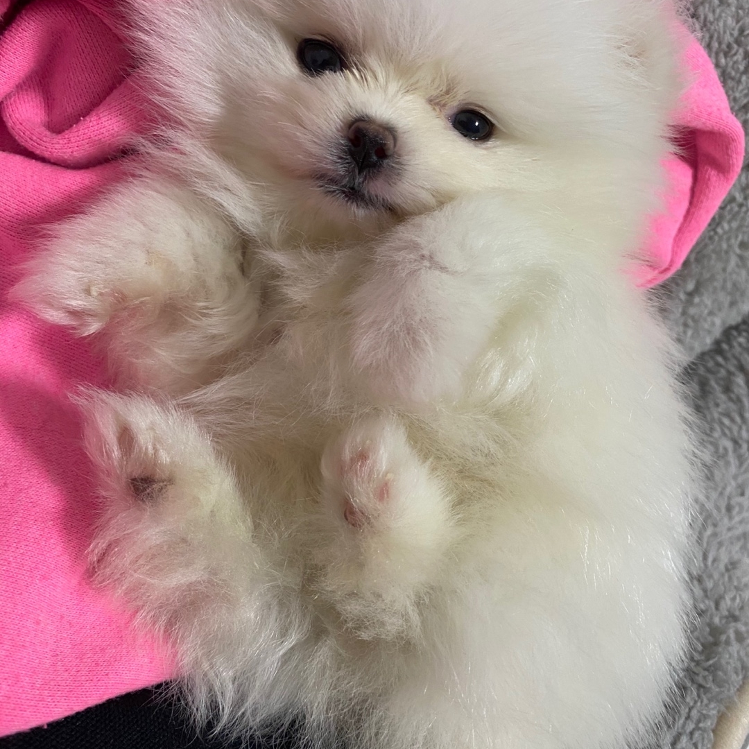 한라봉 따까리님의 스타일