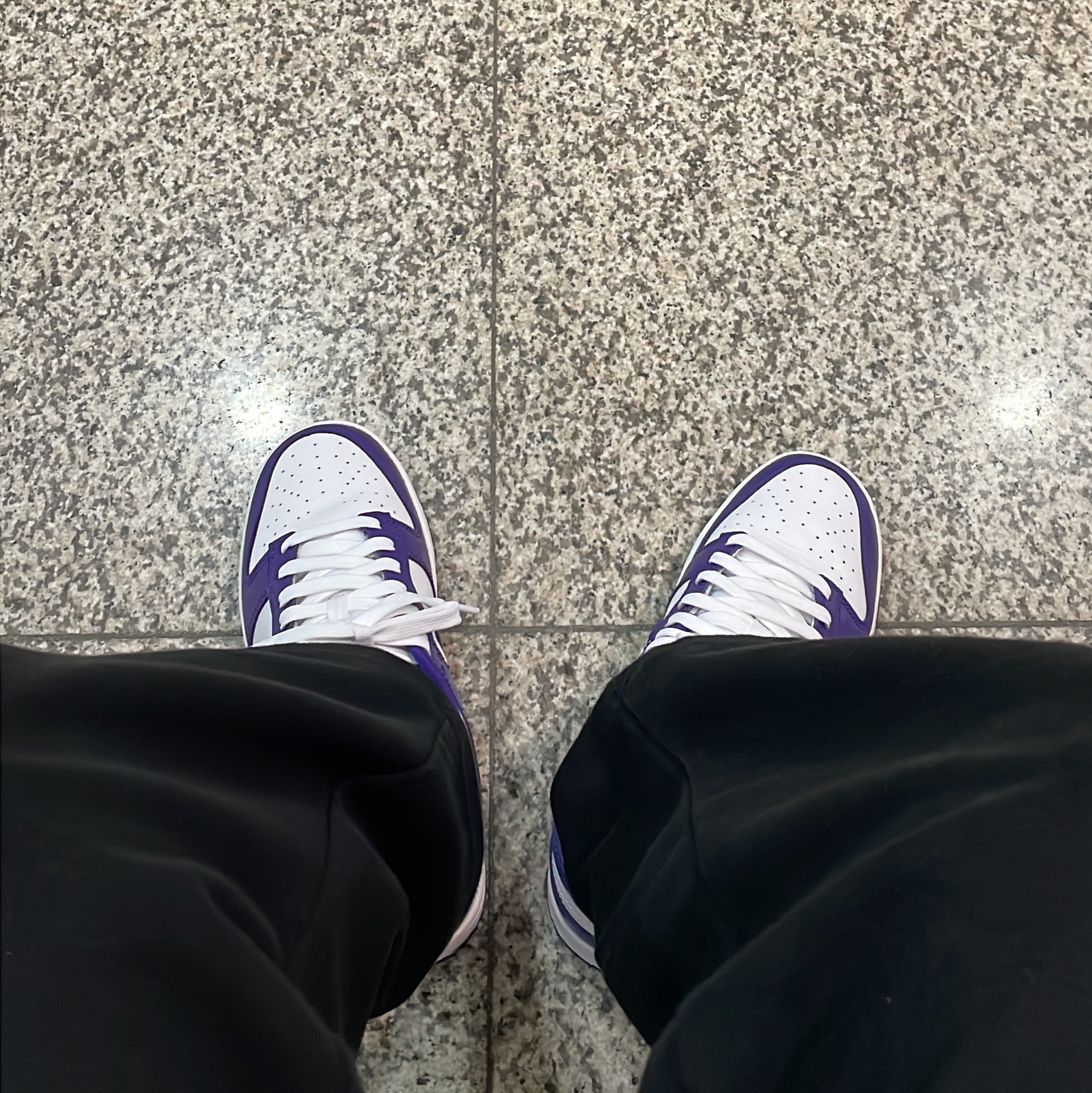Nike Dunk Low Retro Championship Court Purple 착용 스타일 - 3