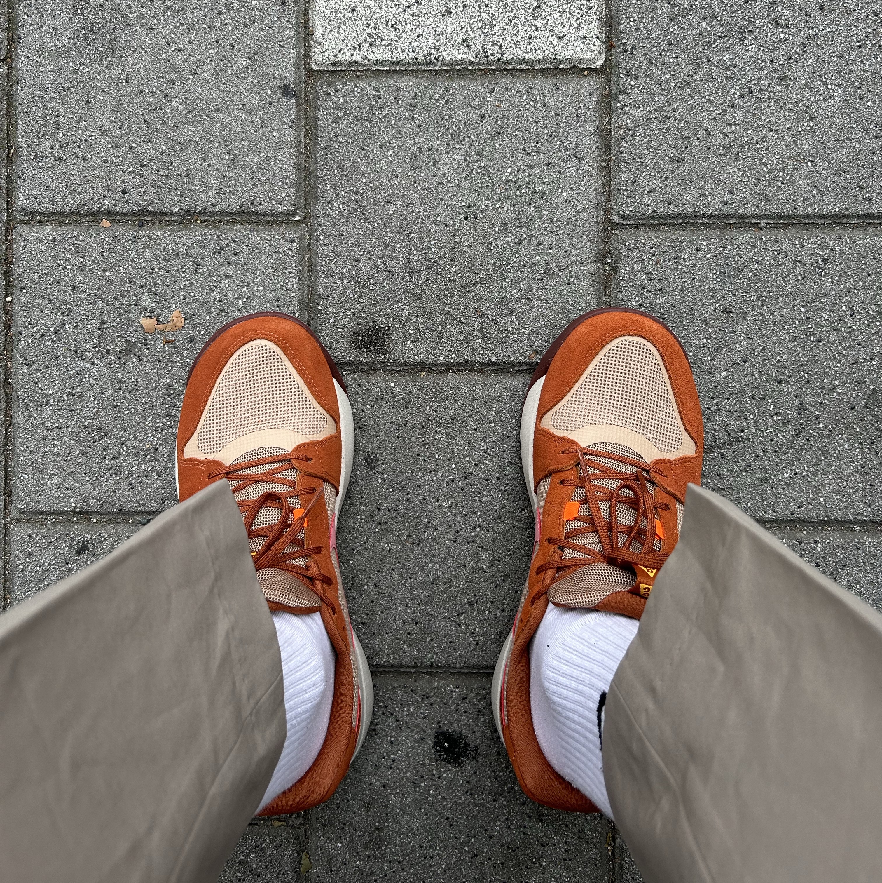 Nike ACG Lowcate Hemp Dark Russet 착용 스타일