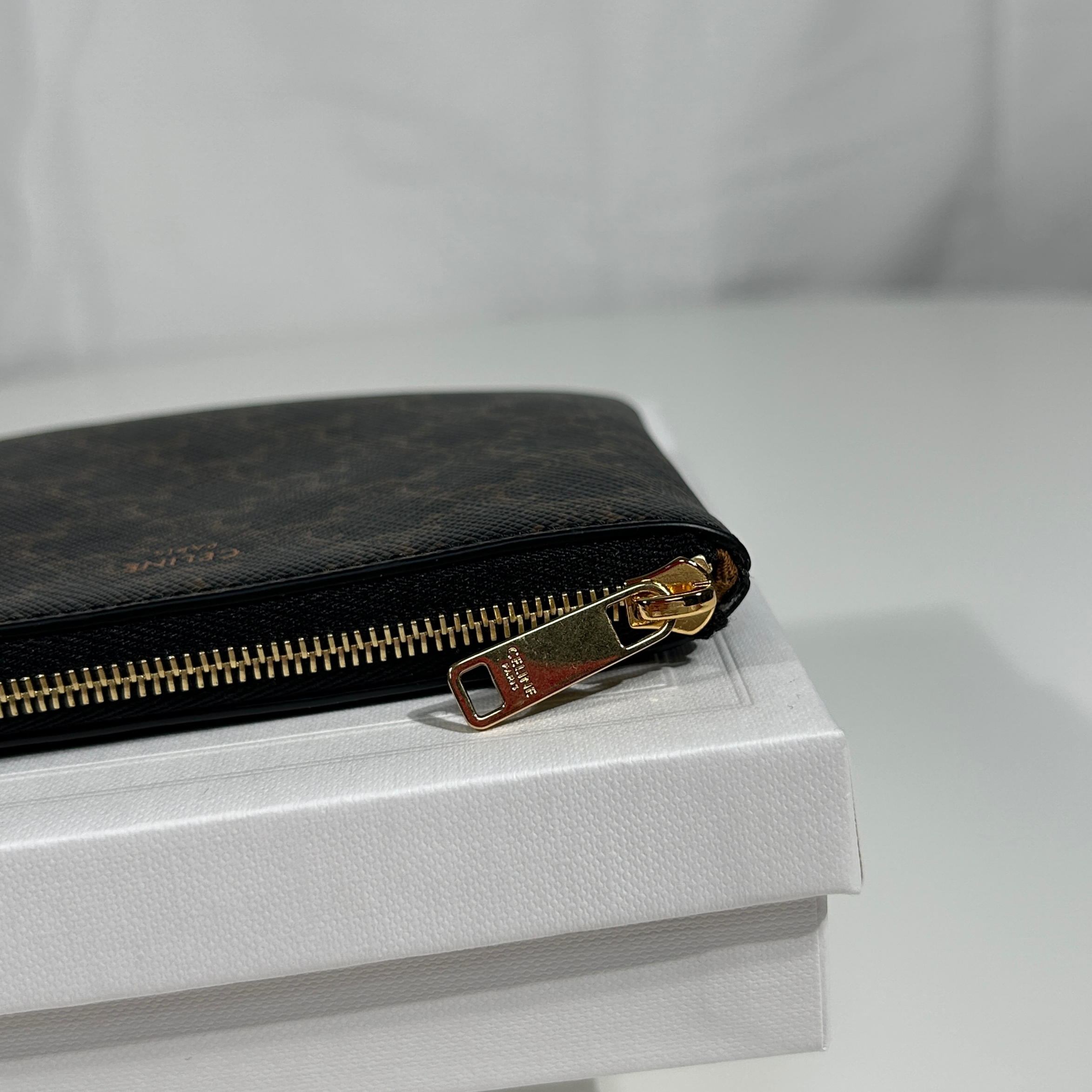 Celine Coin & Card Pouch in Triomphe Canvas Black 착용 스타일 - 4