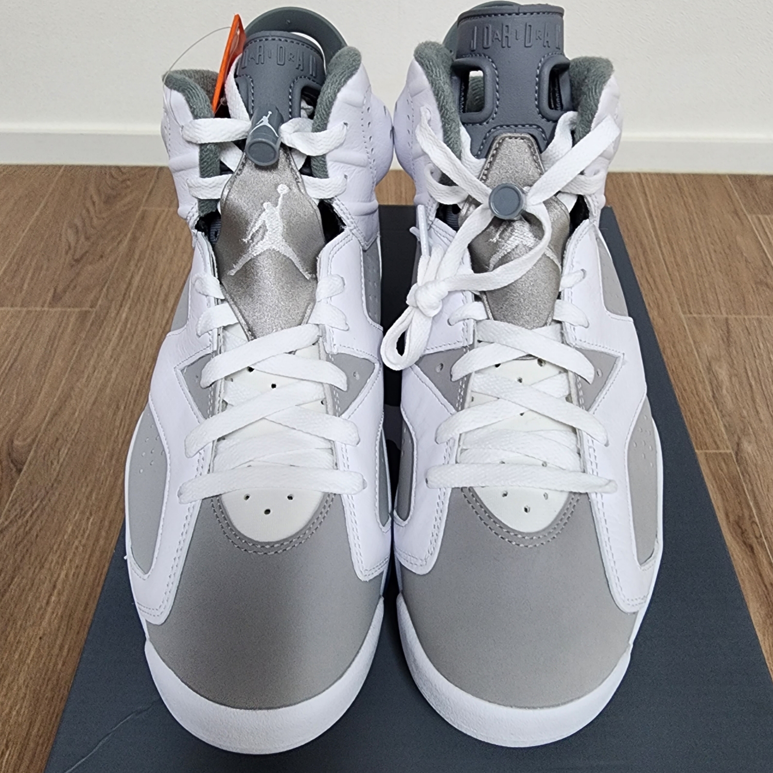 Jordan 6 Retro Cool Grey 착용 스타일 - 1