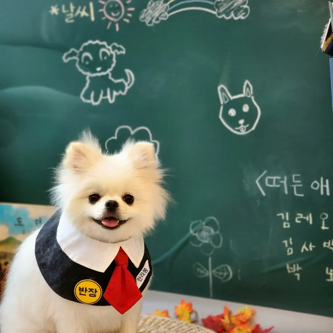 한라봉 따까리님의 스타일