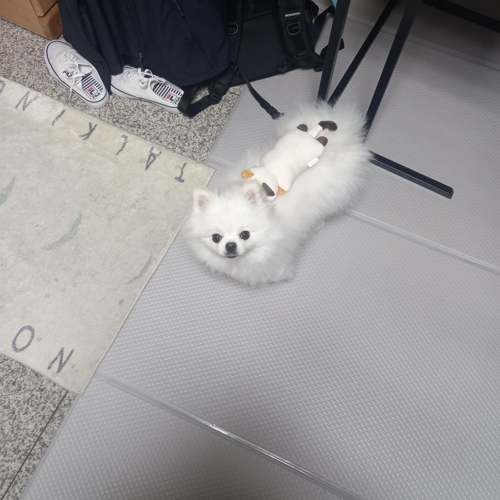한라봉 따까리님의 스타일