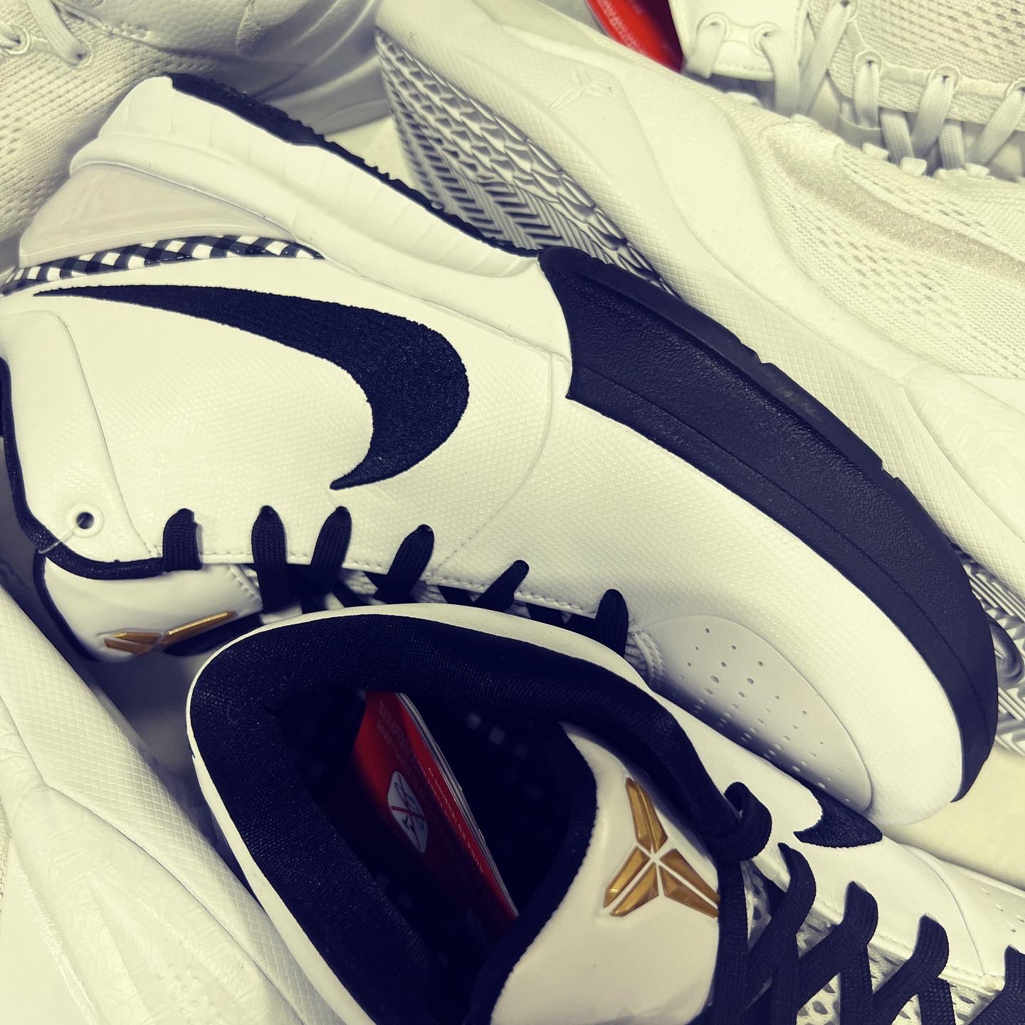 Nike Kobe 8 Protro Halo, Nike Kobe 4 Protro Mambacita Gigi 착용 스타일 - 7