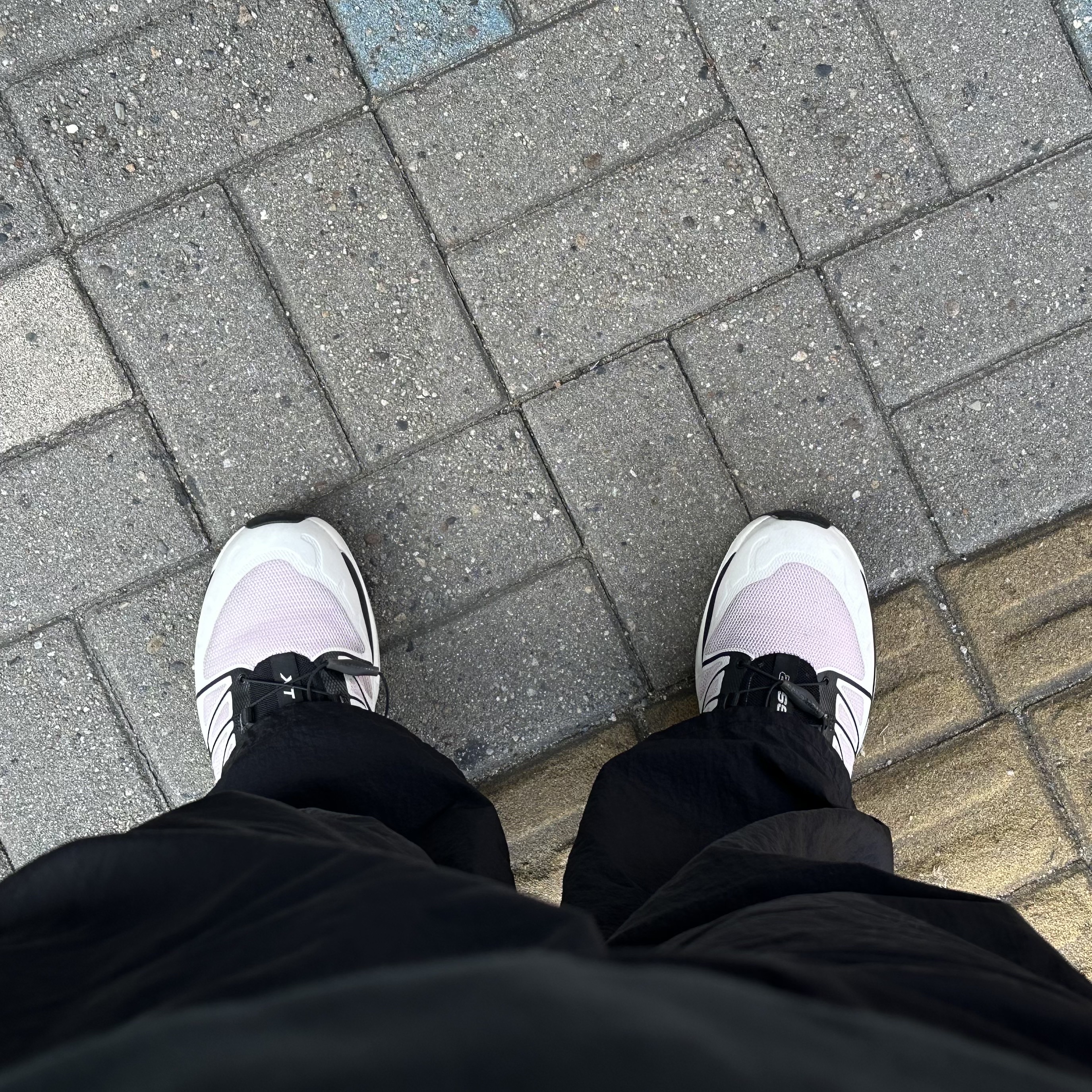 Salomon XT-Wings 2 Cradle Pink 착용 스타일