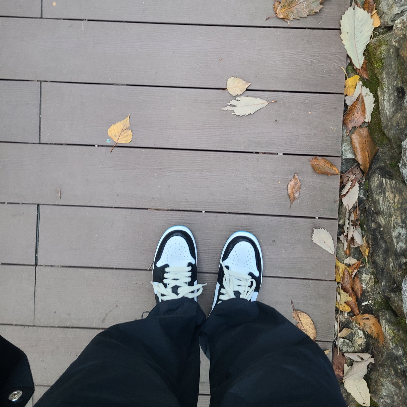 Jordan 1 Retro Low OG Black and Dark Powder Blue 착용 스타일